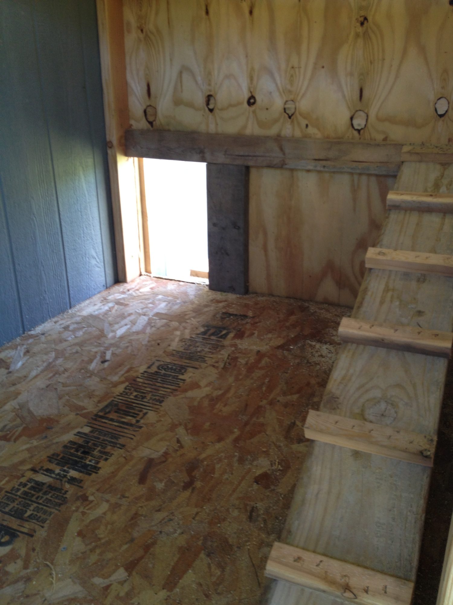 Ladder roost for the girls