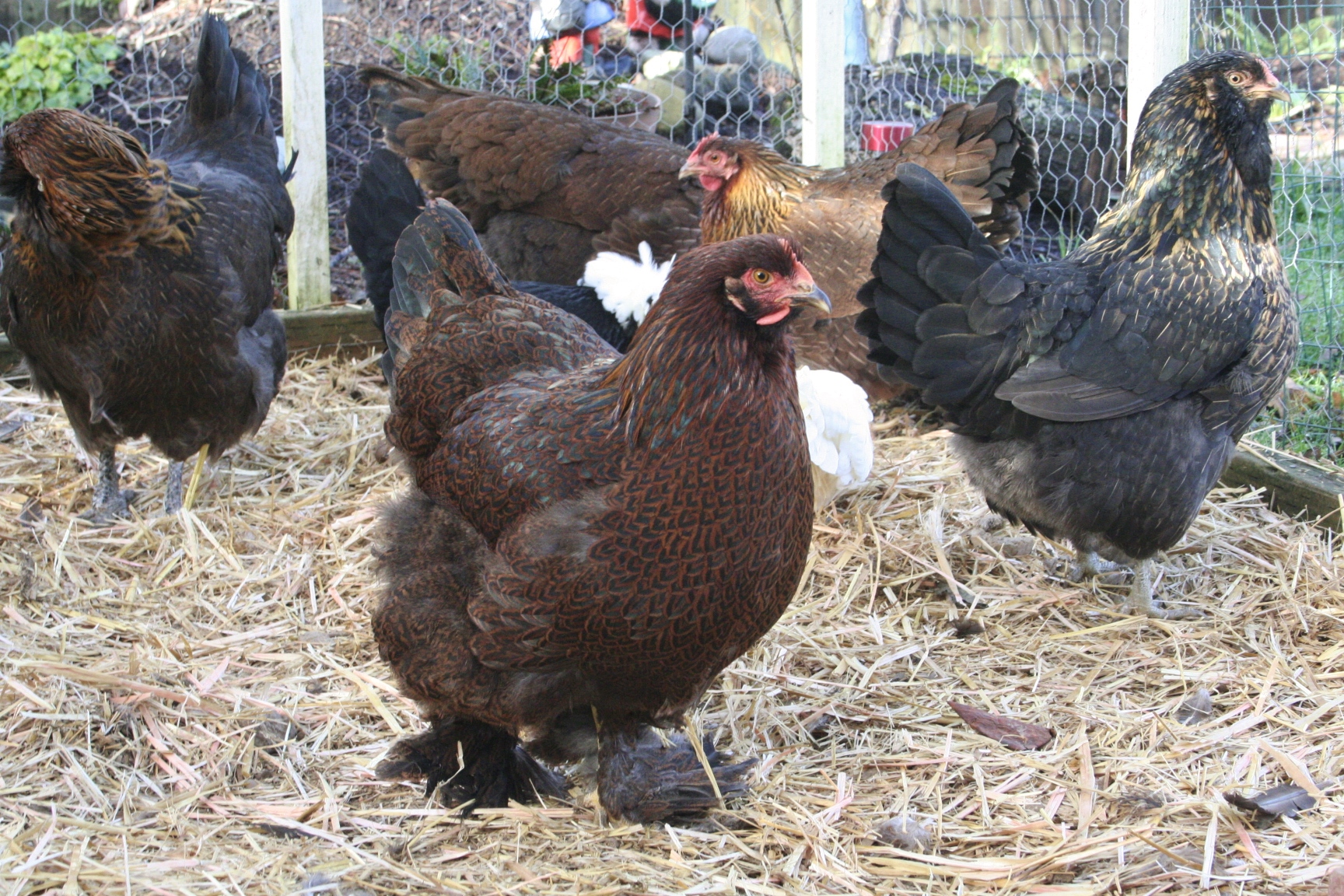Ladies enjoying a bit of sun on a December day.