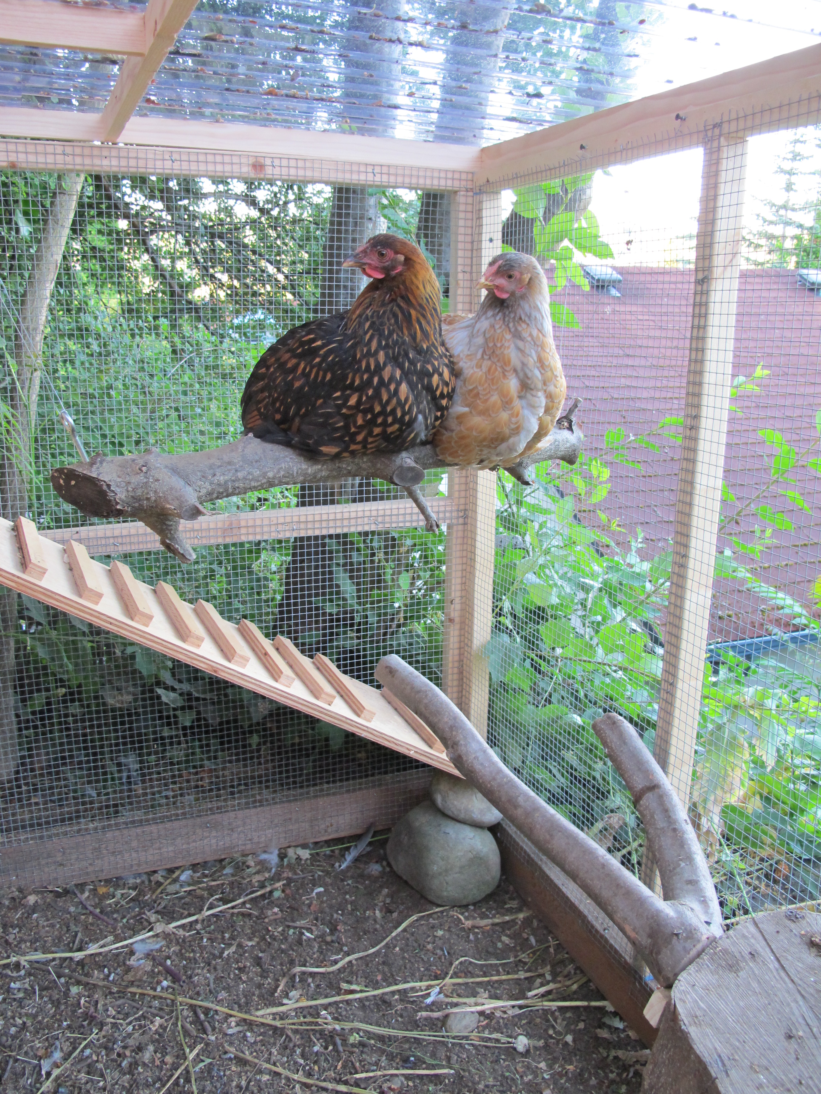ladies on the swing