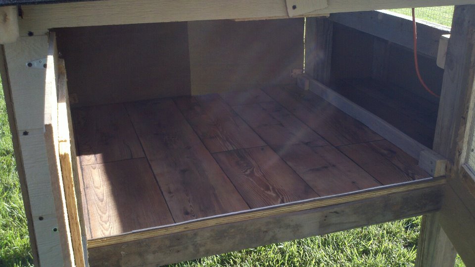 laminate flooring in our new coop