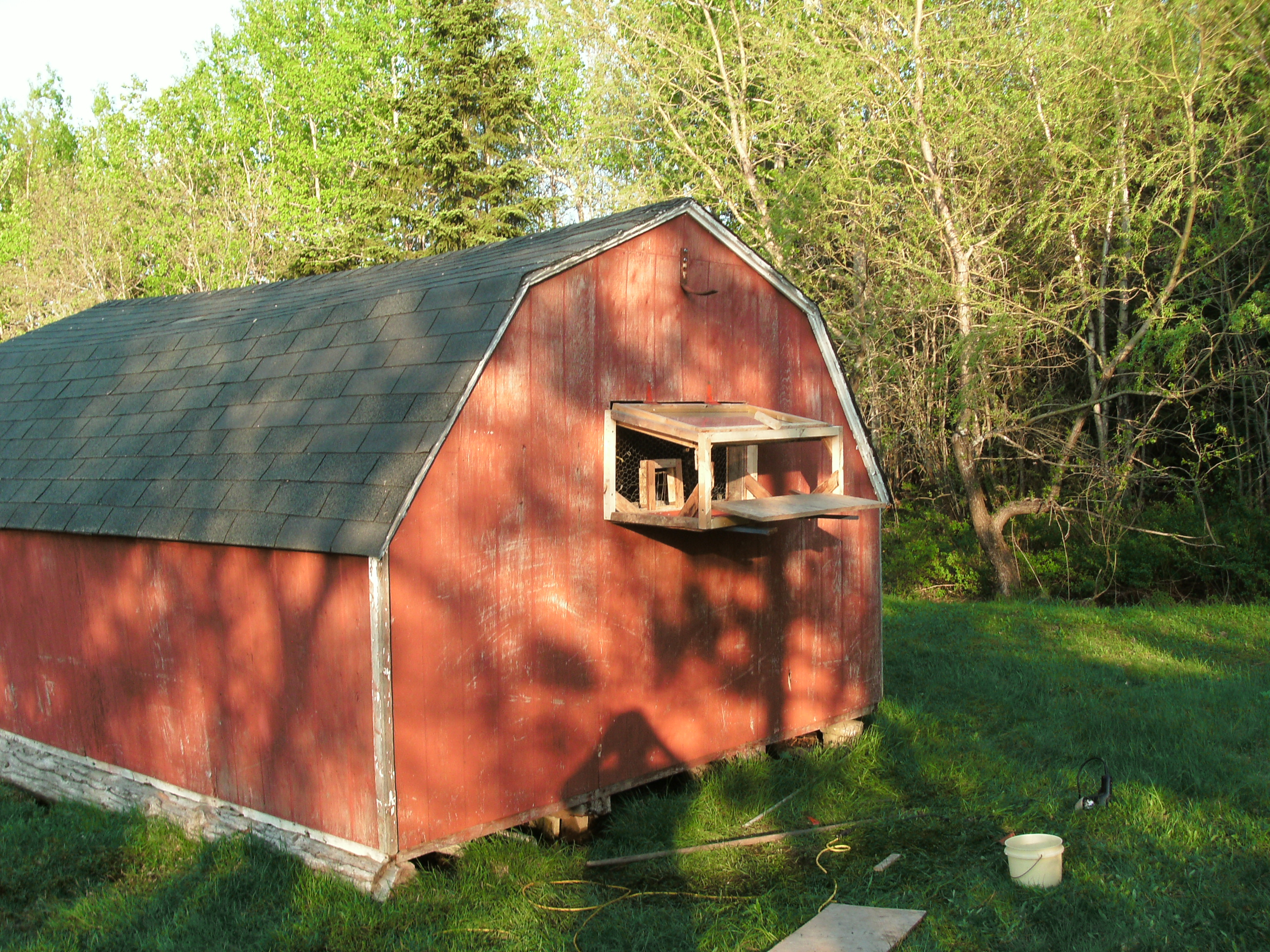 Landing ramp with bob wire trapping system under construction. Landing ramp will close and serve as door for loft protection at night. Floor of trap hinges down for easy cleaning.. Roof is a window that hinges down in foul weather for added warmth.