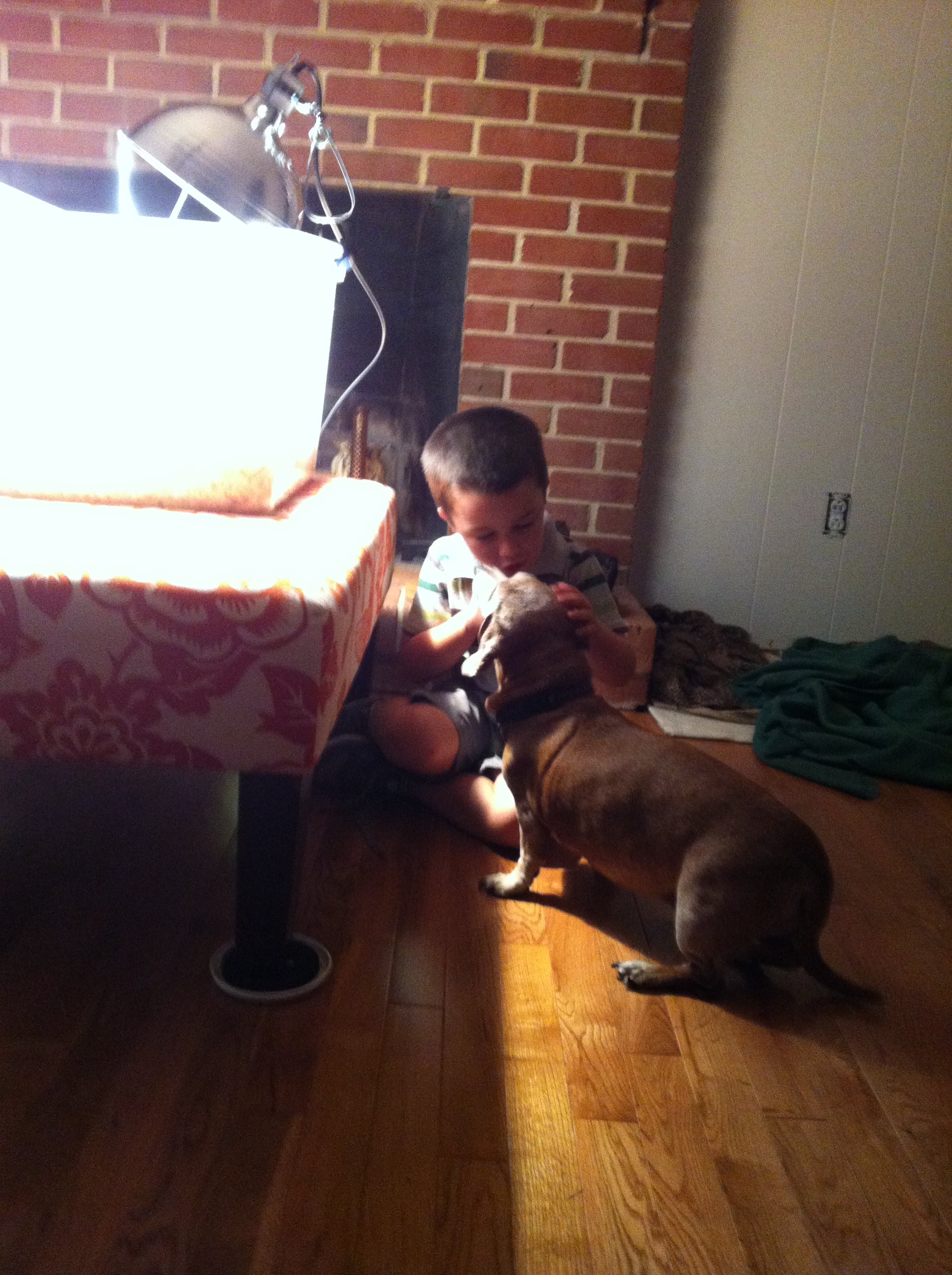 Landon was telling our dog Rosie about the chicks.