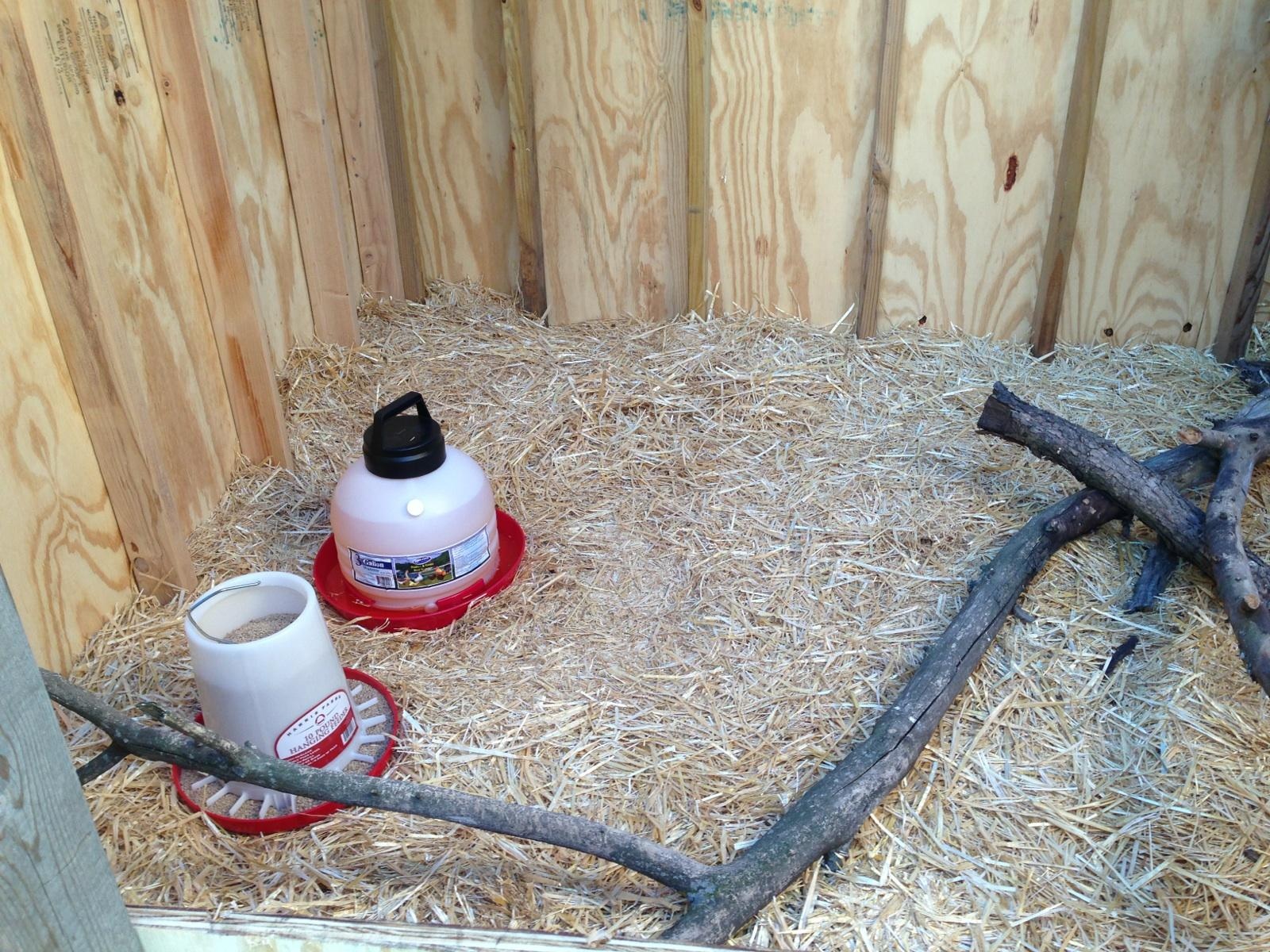Larger water and feed set up. Great roosting post and perch my hubby put together!