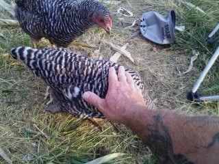 Last summer when they were tweeners.