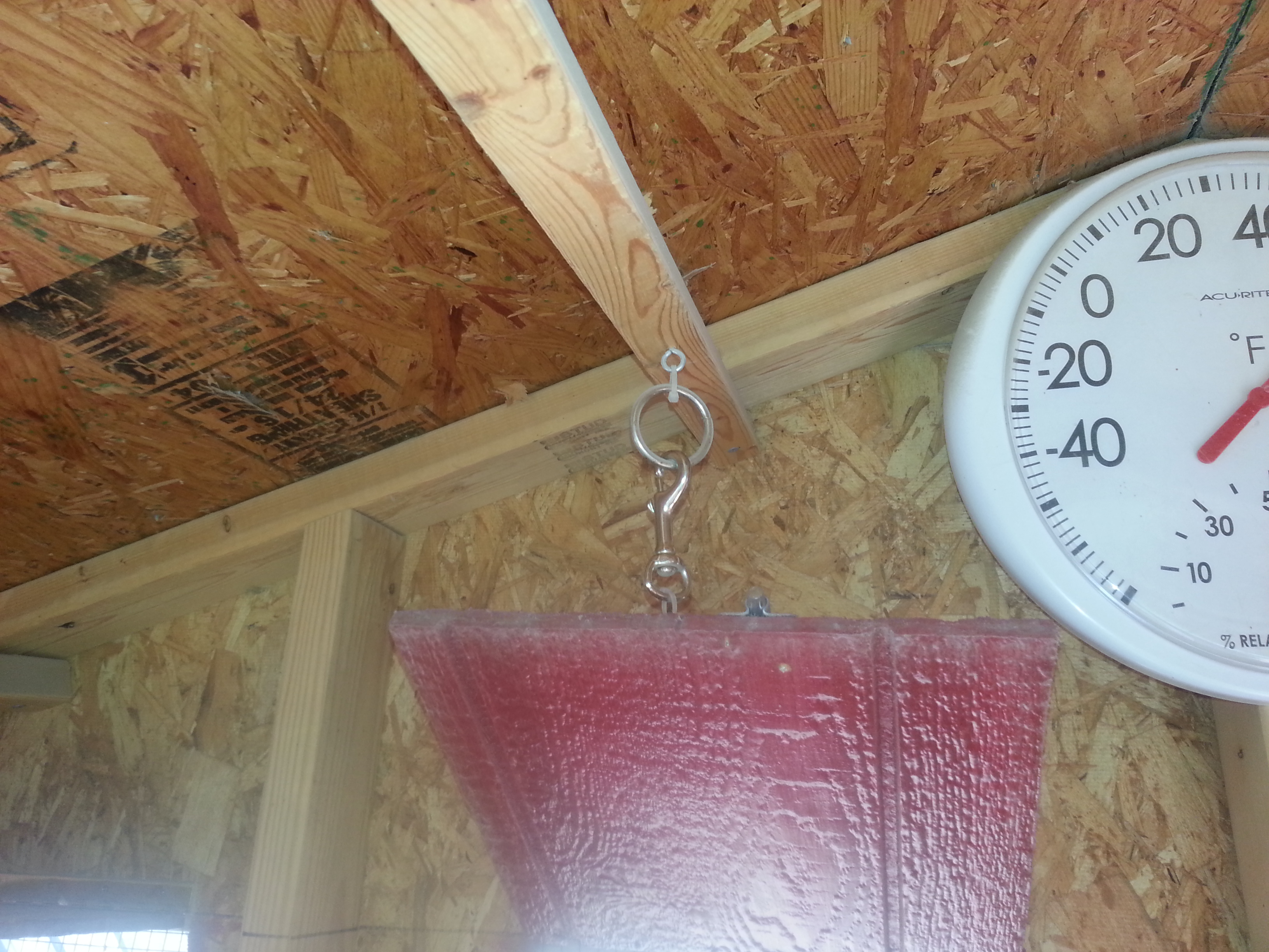 latch of windows at back of house above roosts