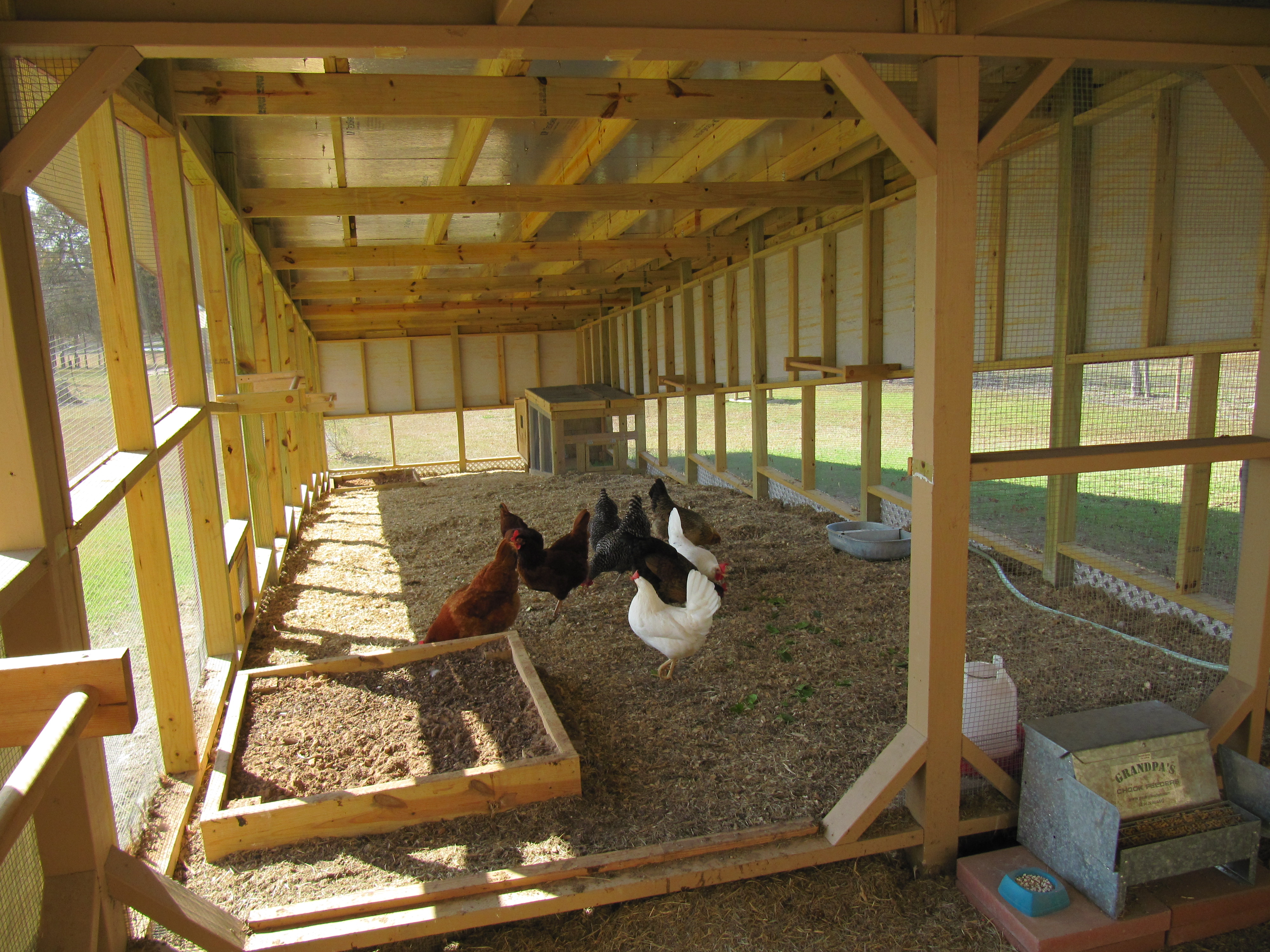 later on, we decided the run was too small for my our 9 hens so we added a 40 x 12 to the original one and cut an opening so now they have access to the whole new run. We also built 2 dirt boxes because we thought they would fight less, however being as sweet and lovely chickens they are, they still fight for the boxes because they all want to be in the same one while the other is empty.