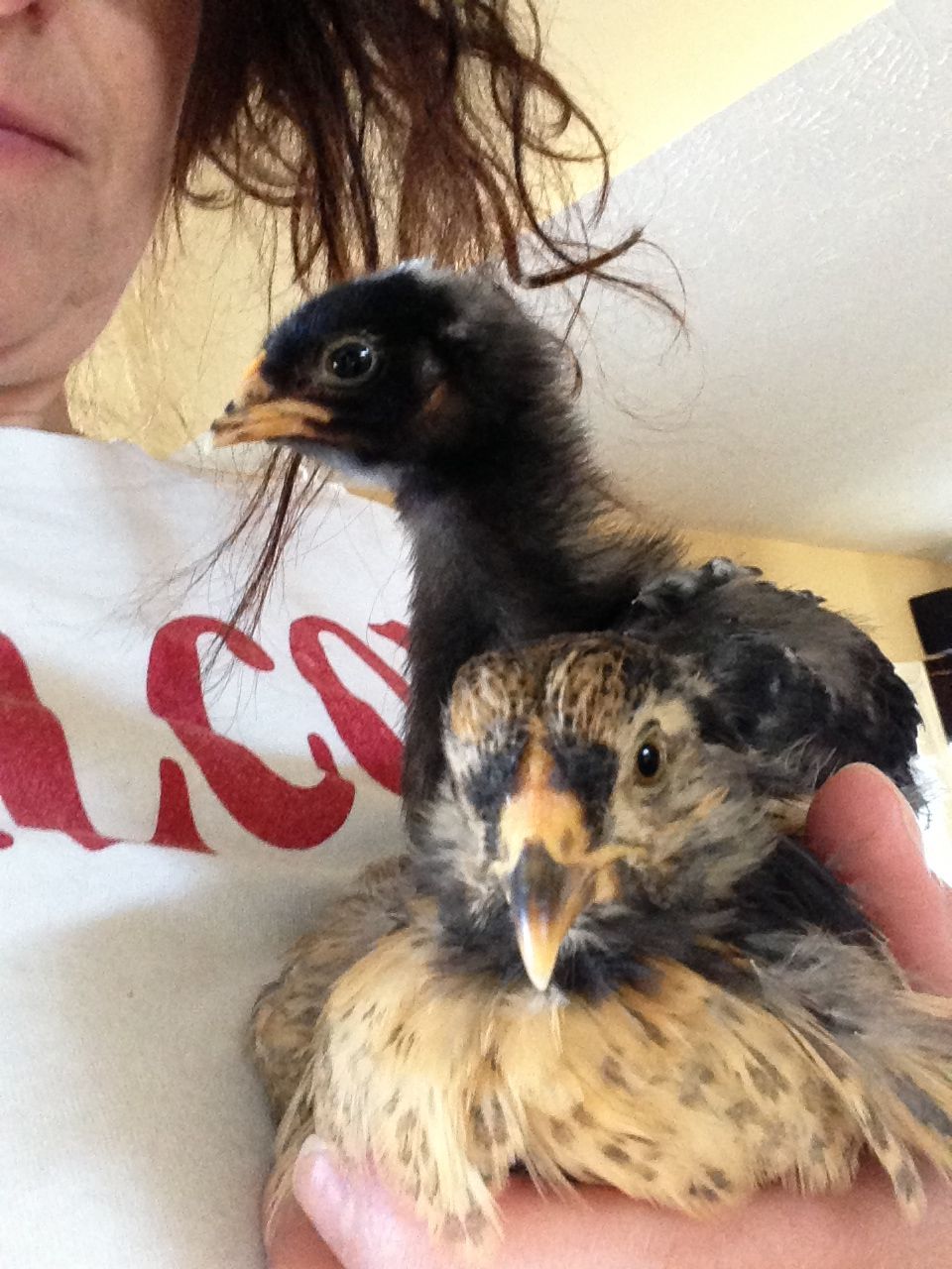 Laura thinks Pearl makes a great ottoman