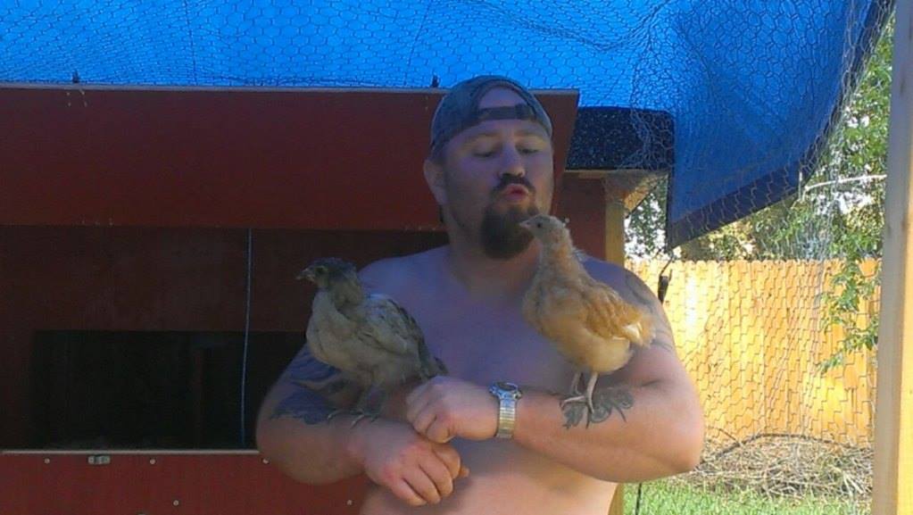 Lavender on the left of picture and Blossom on the right side of the picture. Lavender is an Easter egger type breed that will most  likely have a beard. Blossom is your average run of the mill Buff Orpington.