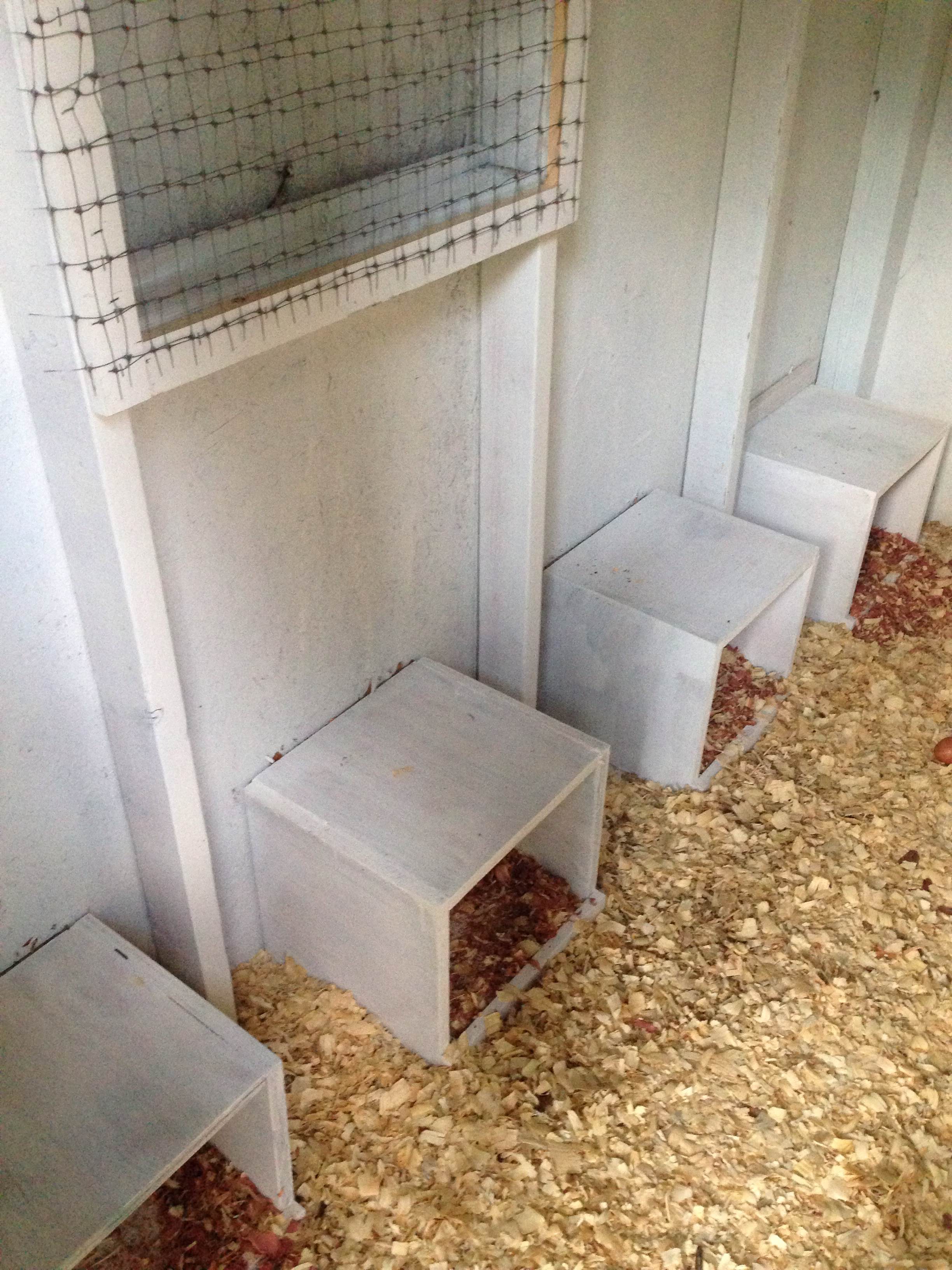 Laying boxes not being used yet...they are just laying eggs in random places.