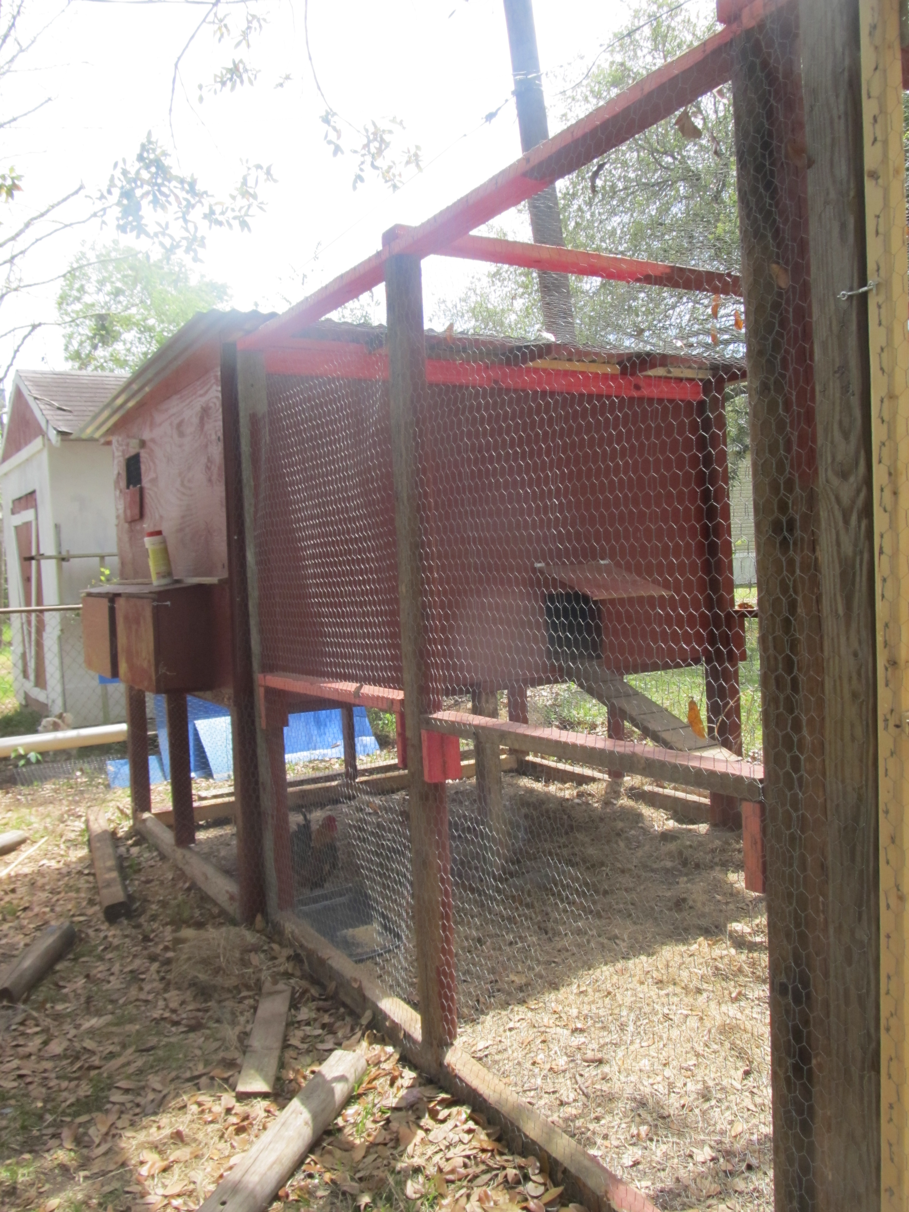 Laying Hen Coop
Side shot