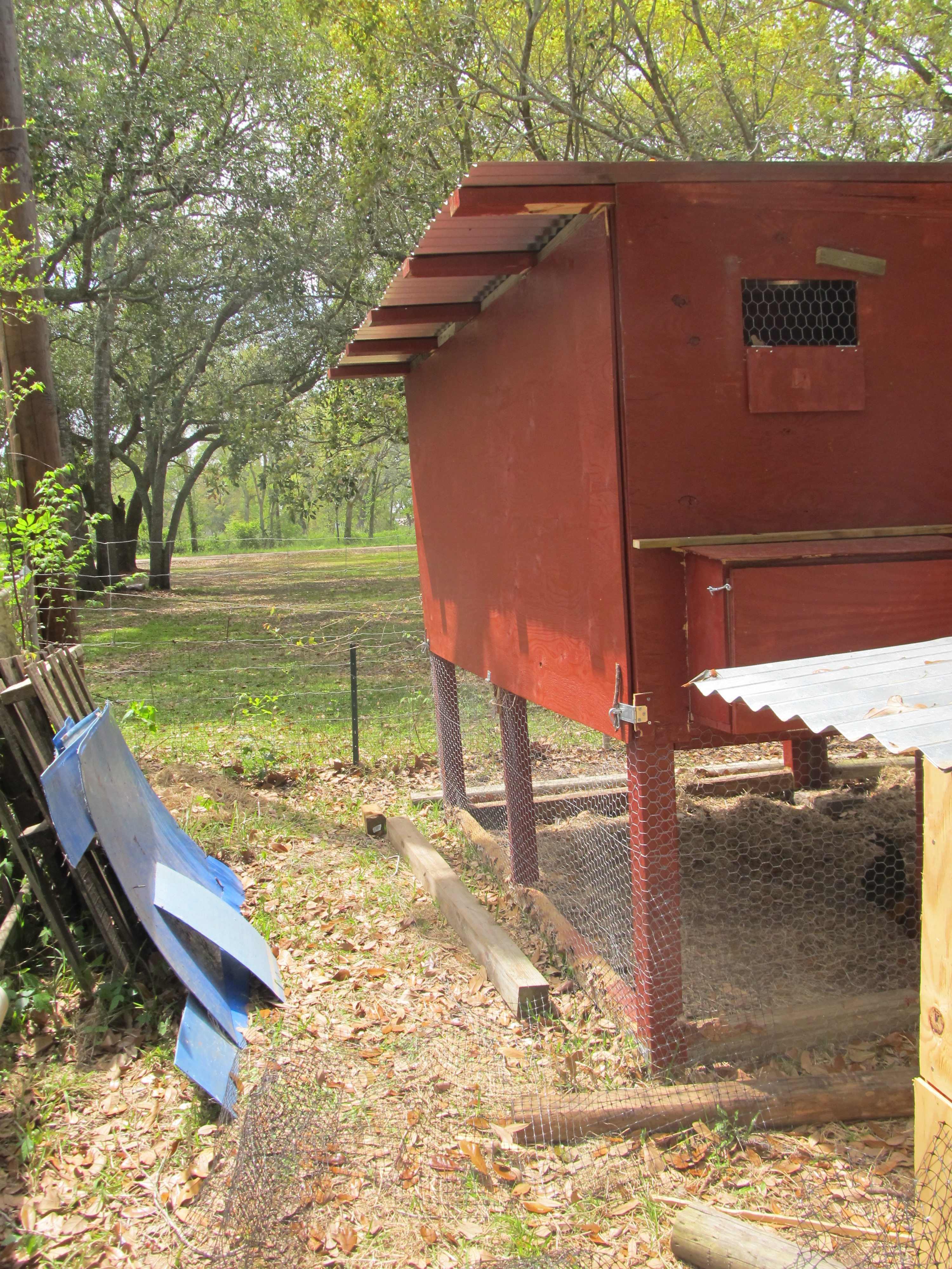Laying Hen Coop-The whole back is a door and hinges up providing access for cleaning. 
Backside