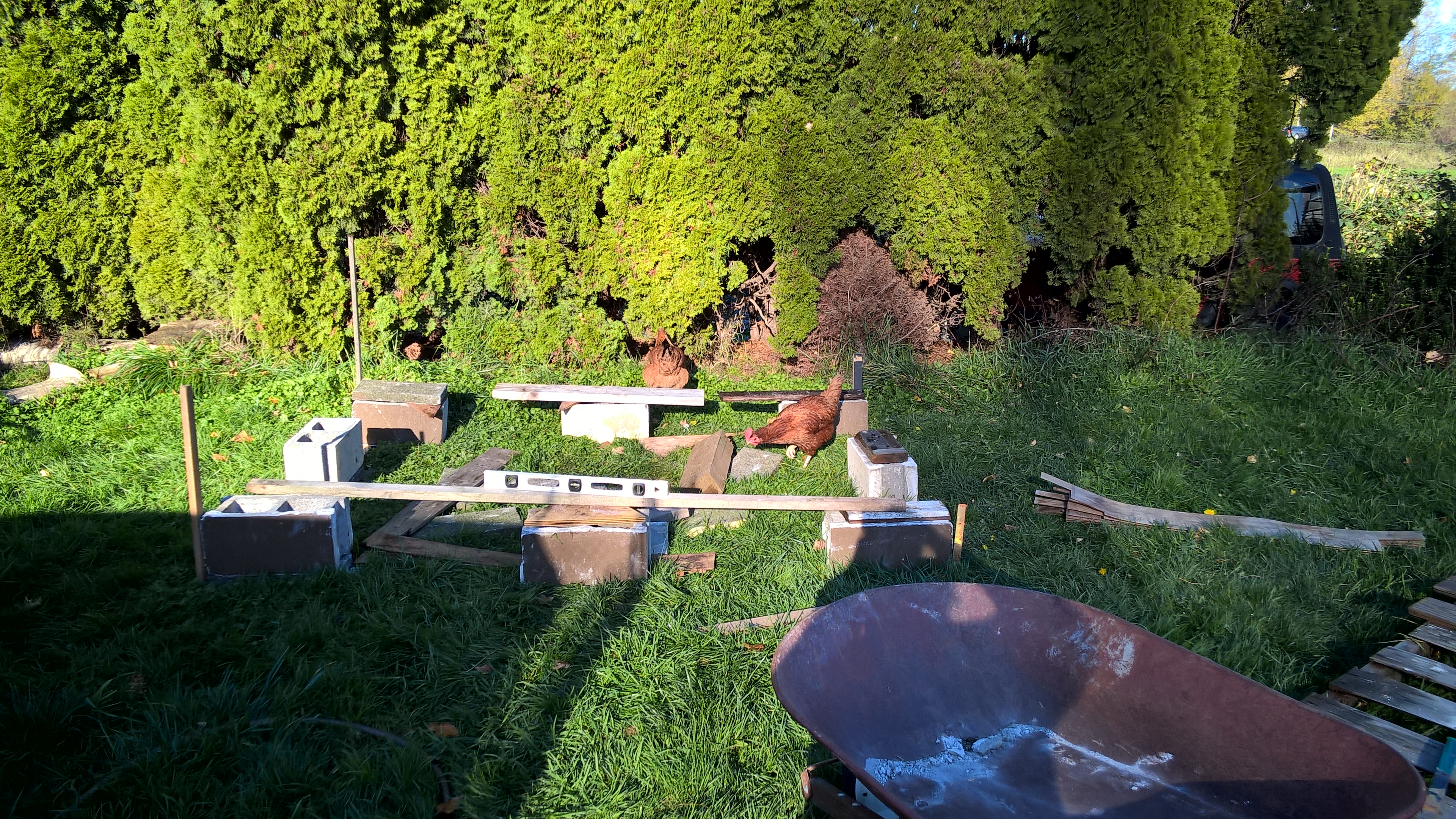 laying the blocks and trying to level it out...this coop will not get wet from the ground up this time!