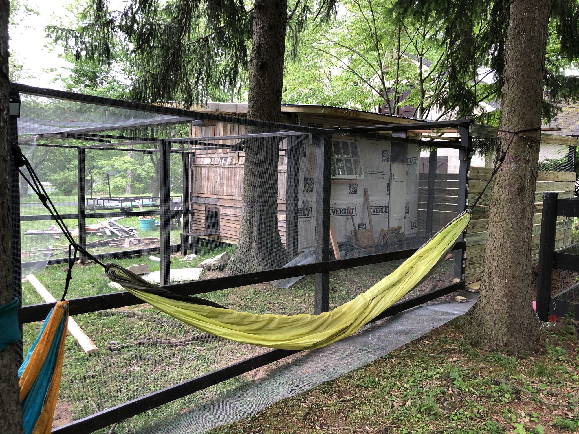 Lazy Time by the coop