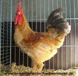 LEAD Technologies Inc. V1.01