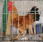 LEAD Technologies Inc. V1.01