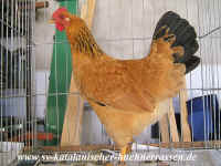 LEAD Technologies Inc. V1.01