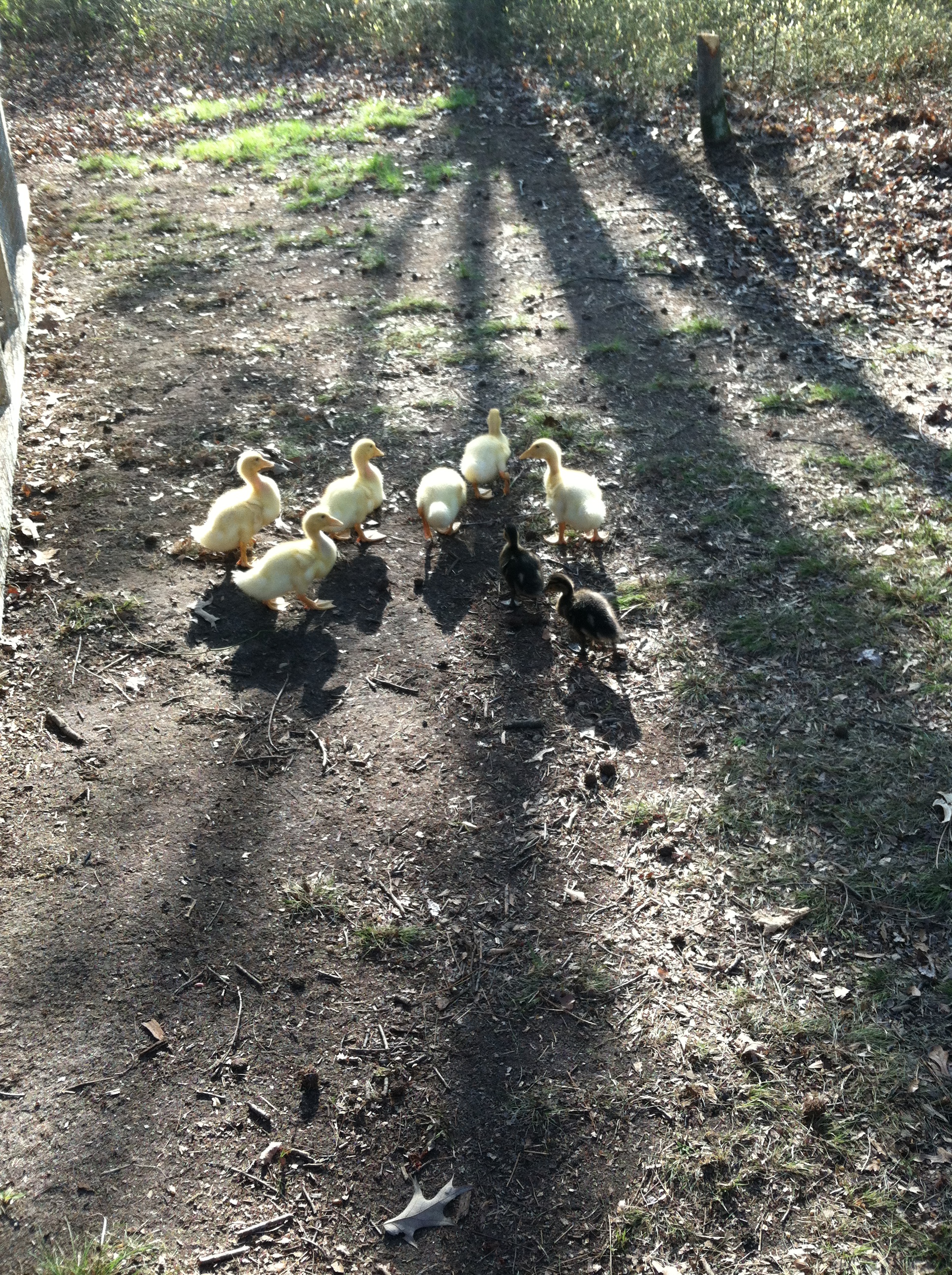Learning to get along.