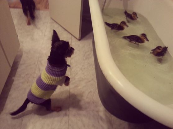 Learning to swim!