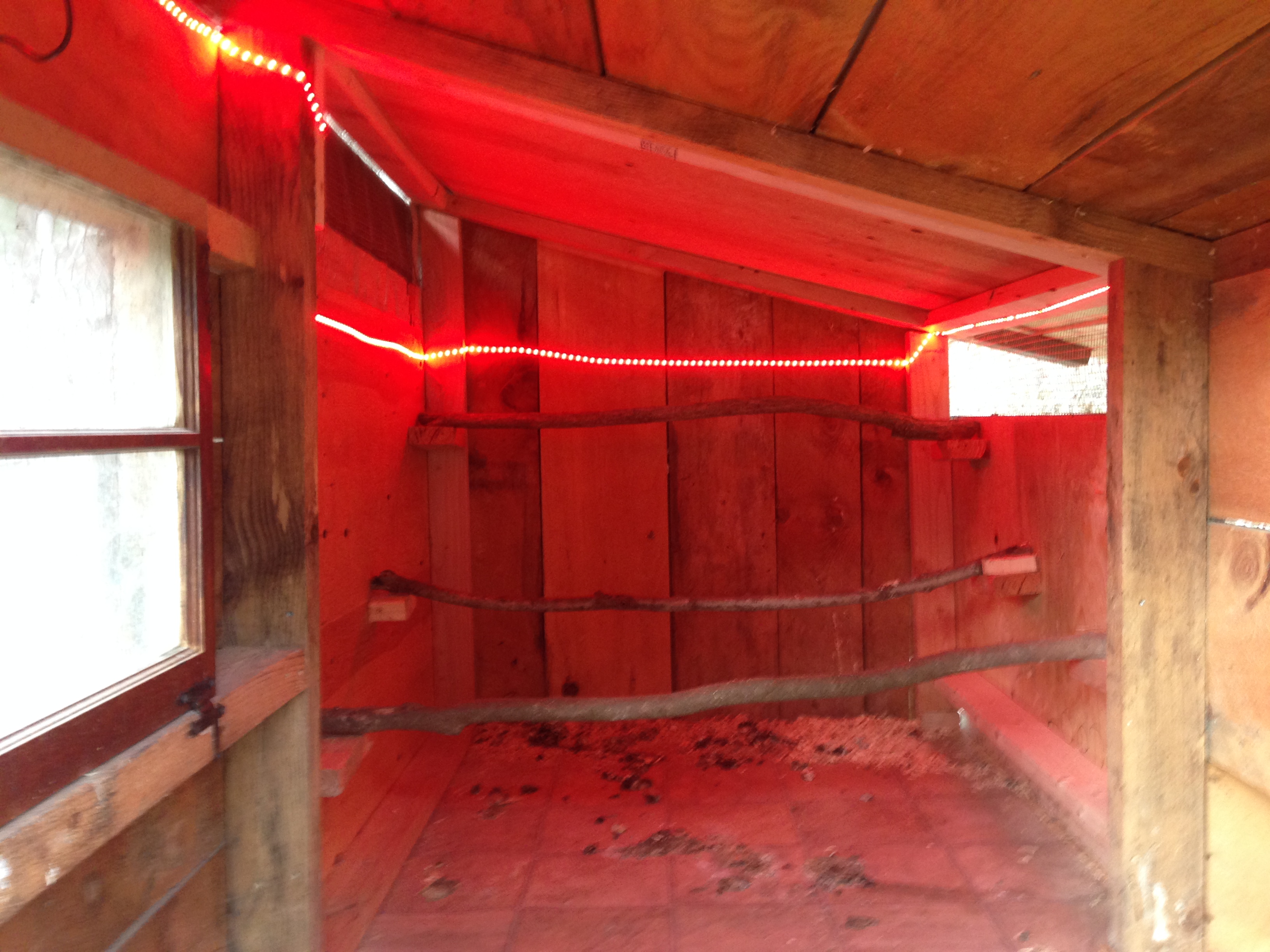 LED Lights off amazon for only $18.