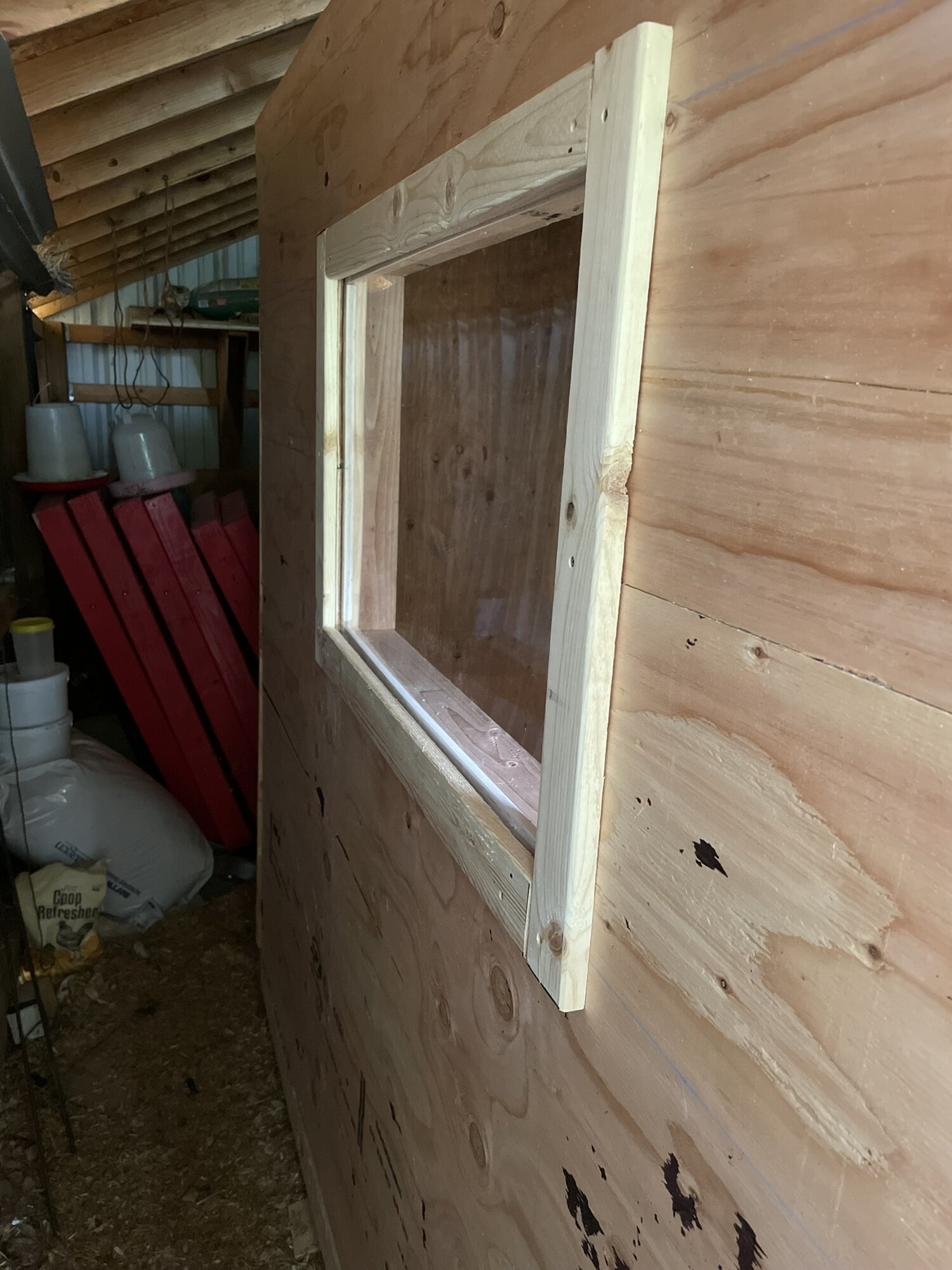 Left side Window view. Nest boxes on the inside of this wall.