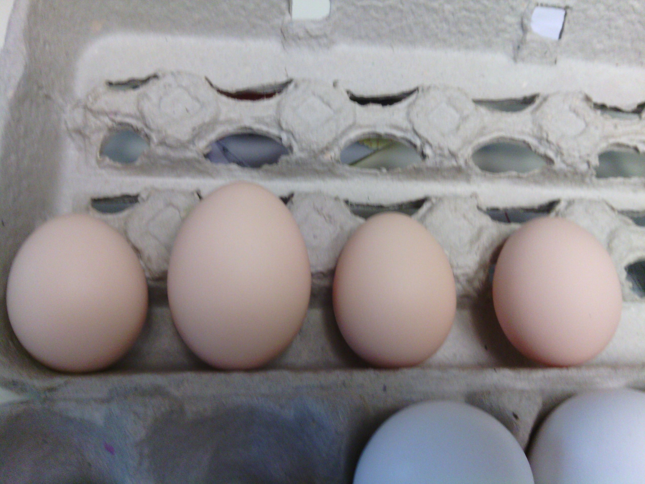 left to right. 2nd egg, 3rd egg, 4th egg, 5th egg.
