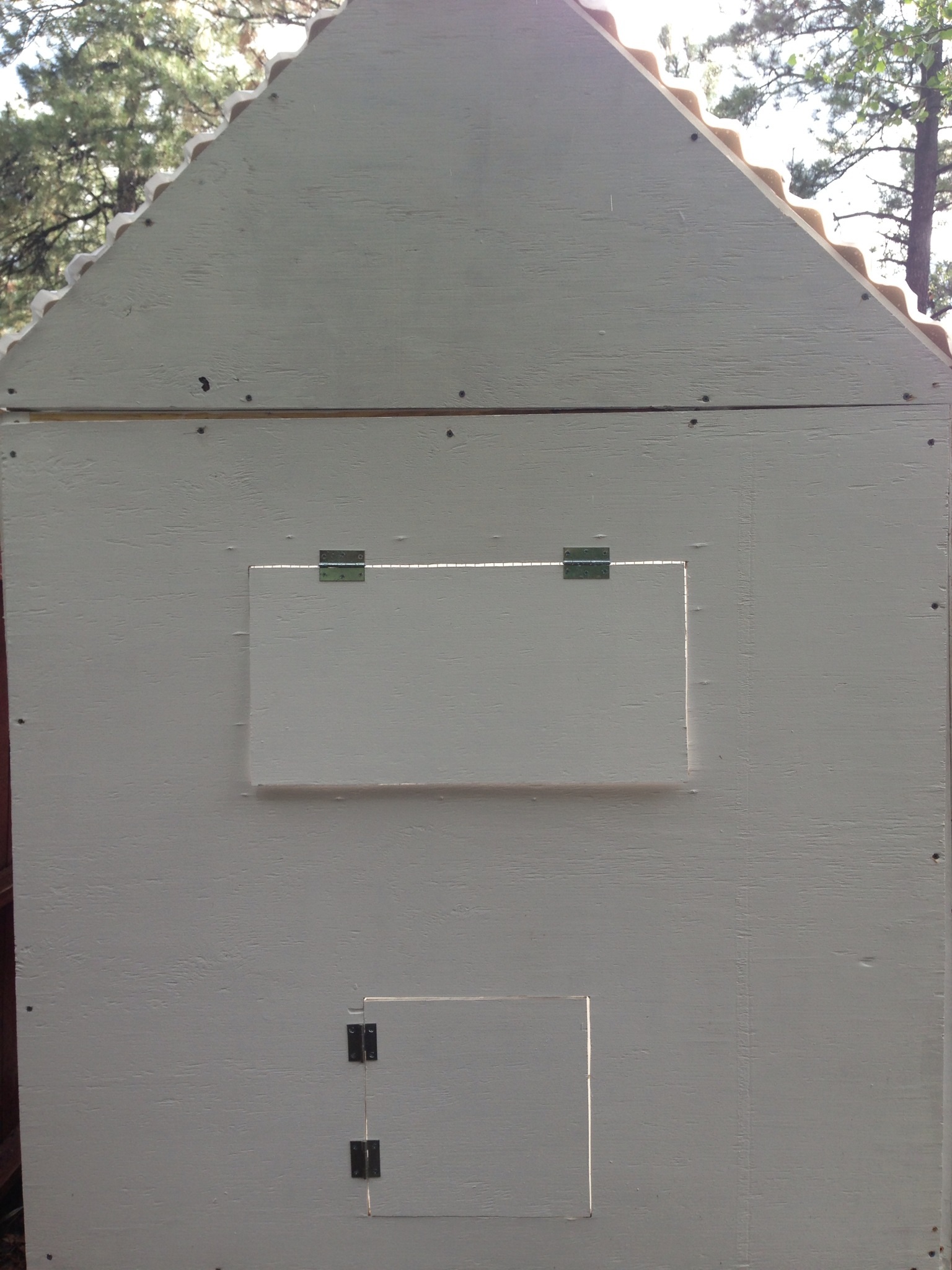 Left wll view. The small door will soon have a ramp so the birds can have a supervised play time out in the backyard