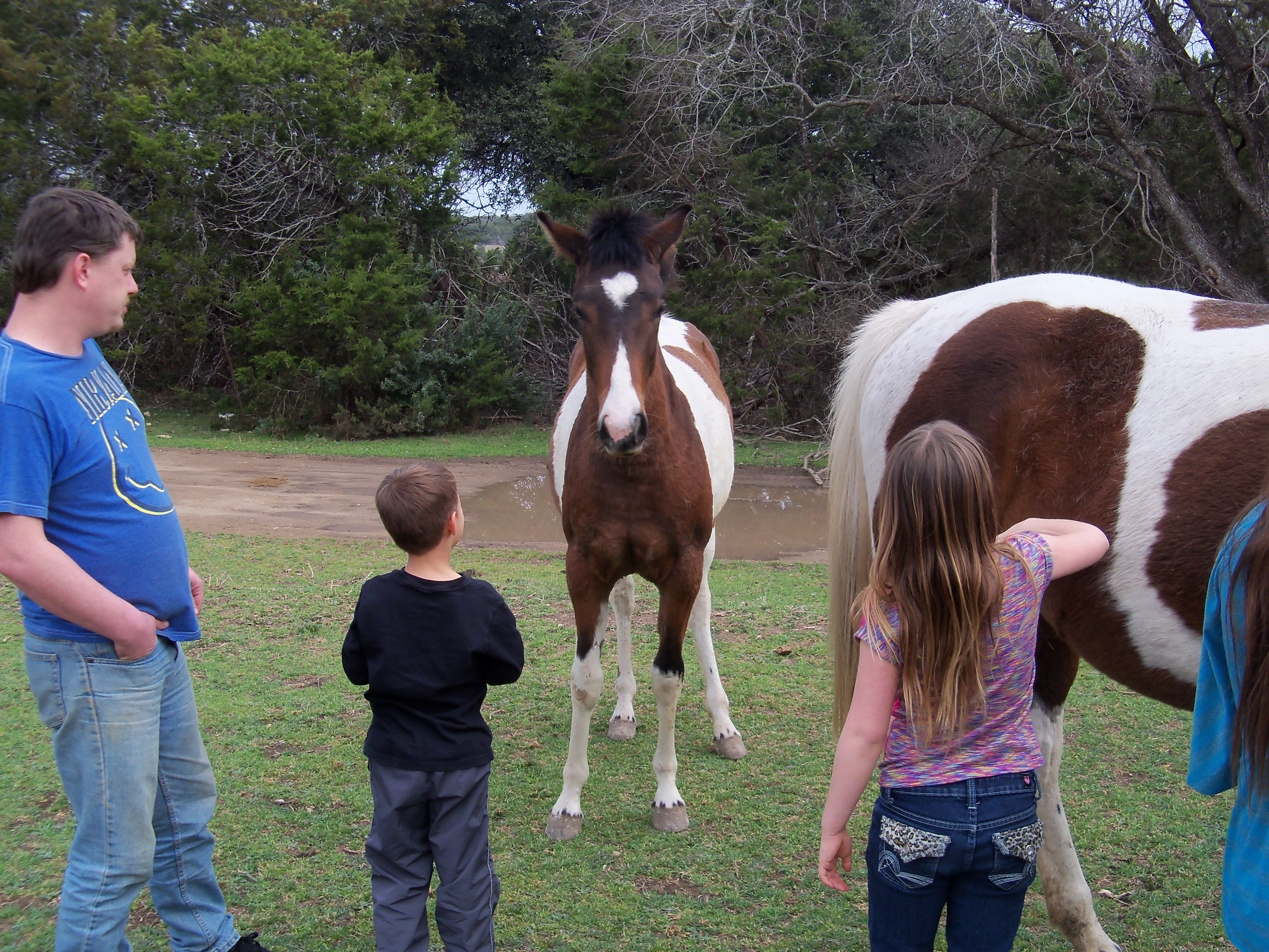 Legs the filly looks like shes thinking what you doing by my Mom!!! lol
