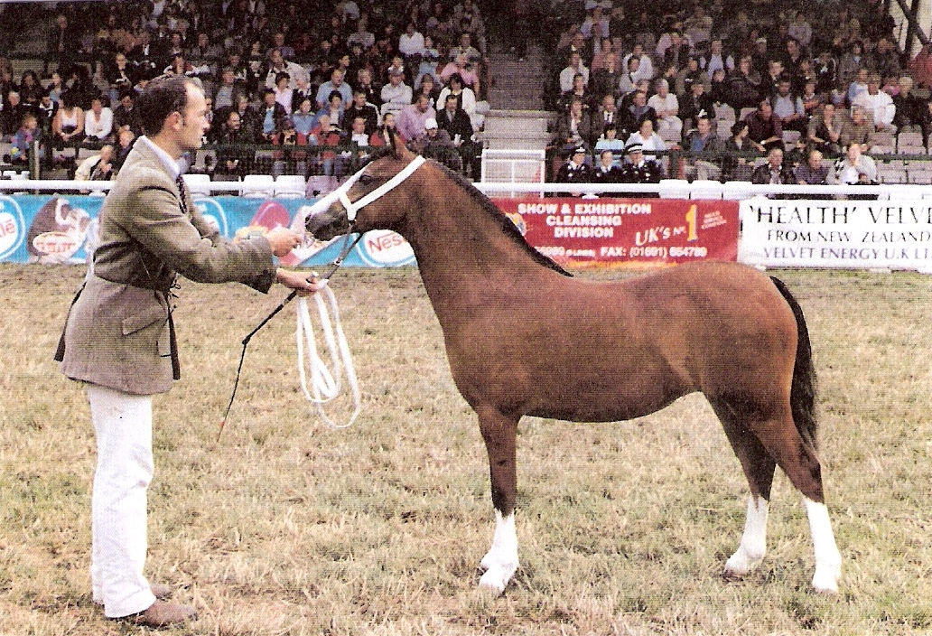 Lena at The 2003 Royal Welsh