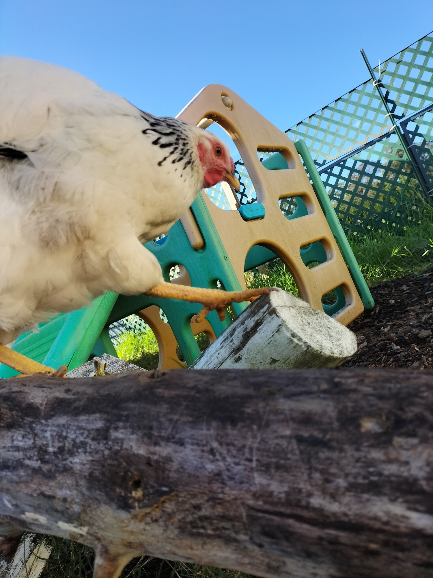 Let me just step over here