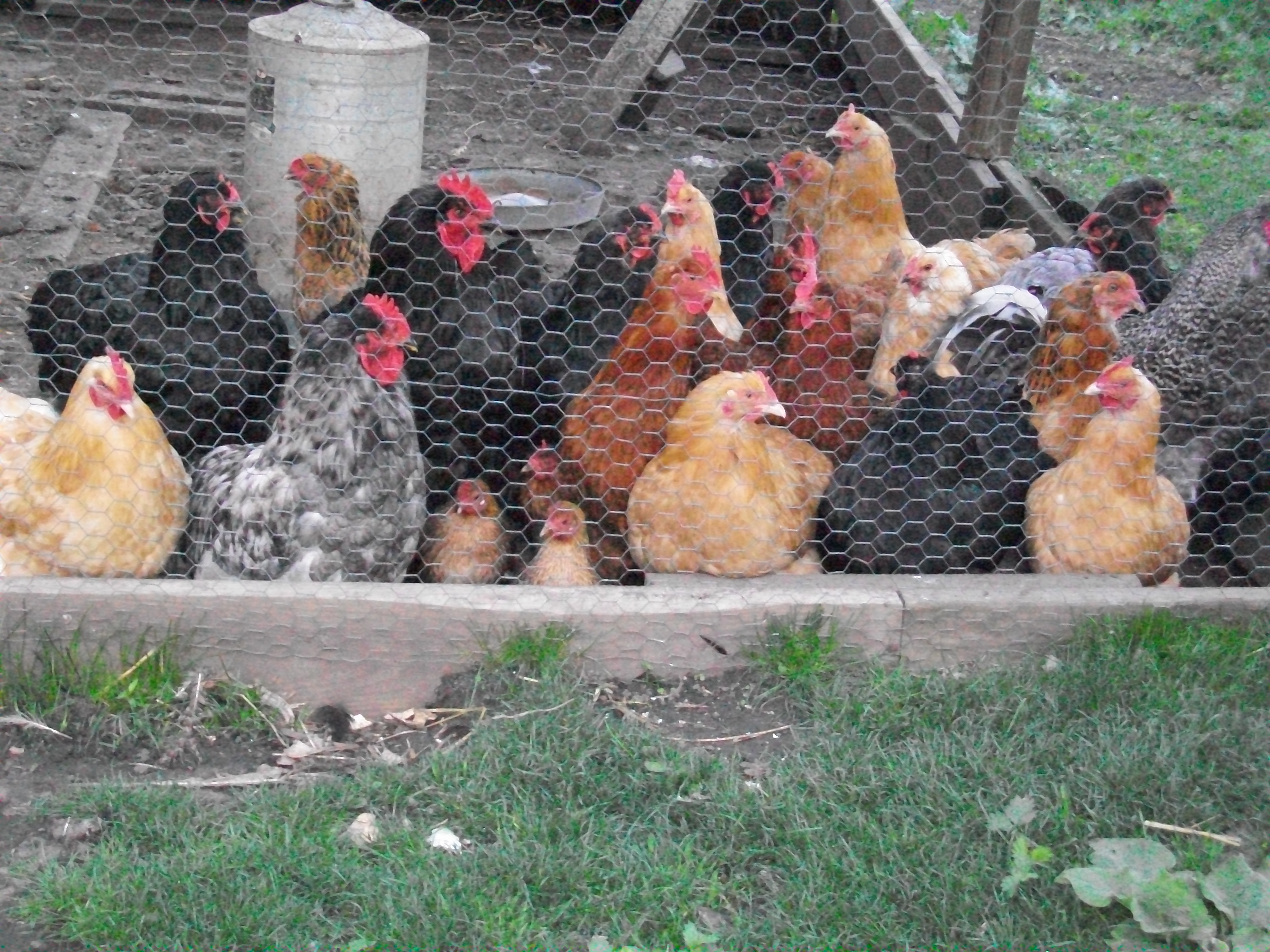 Let us out!!