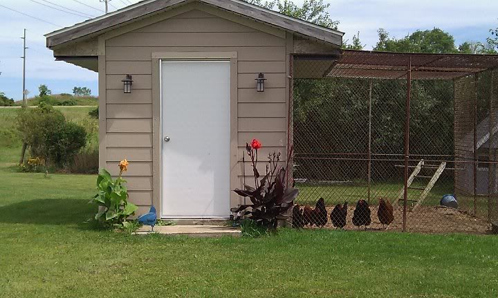 Lets see if this works!  Photo of my coop!
