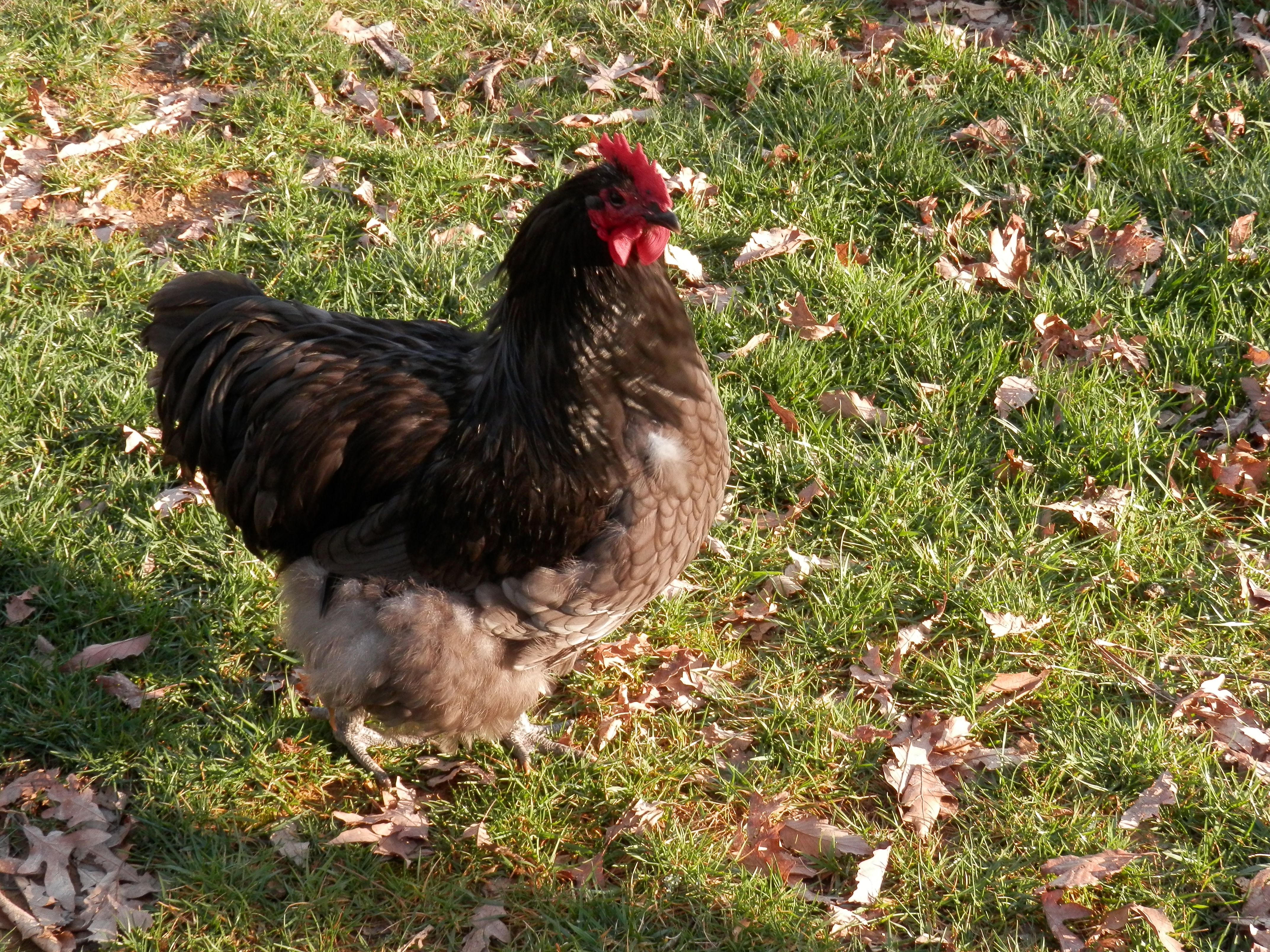 light blue 6 1/2 months