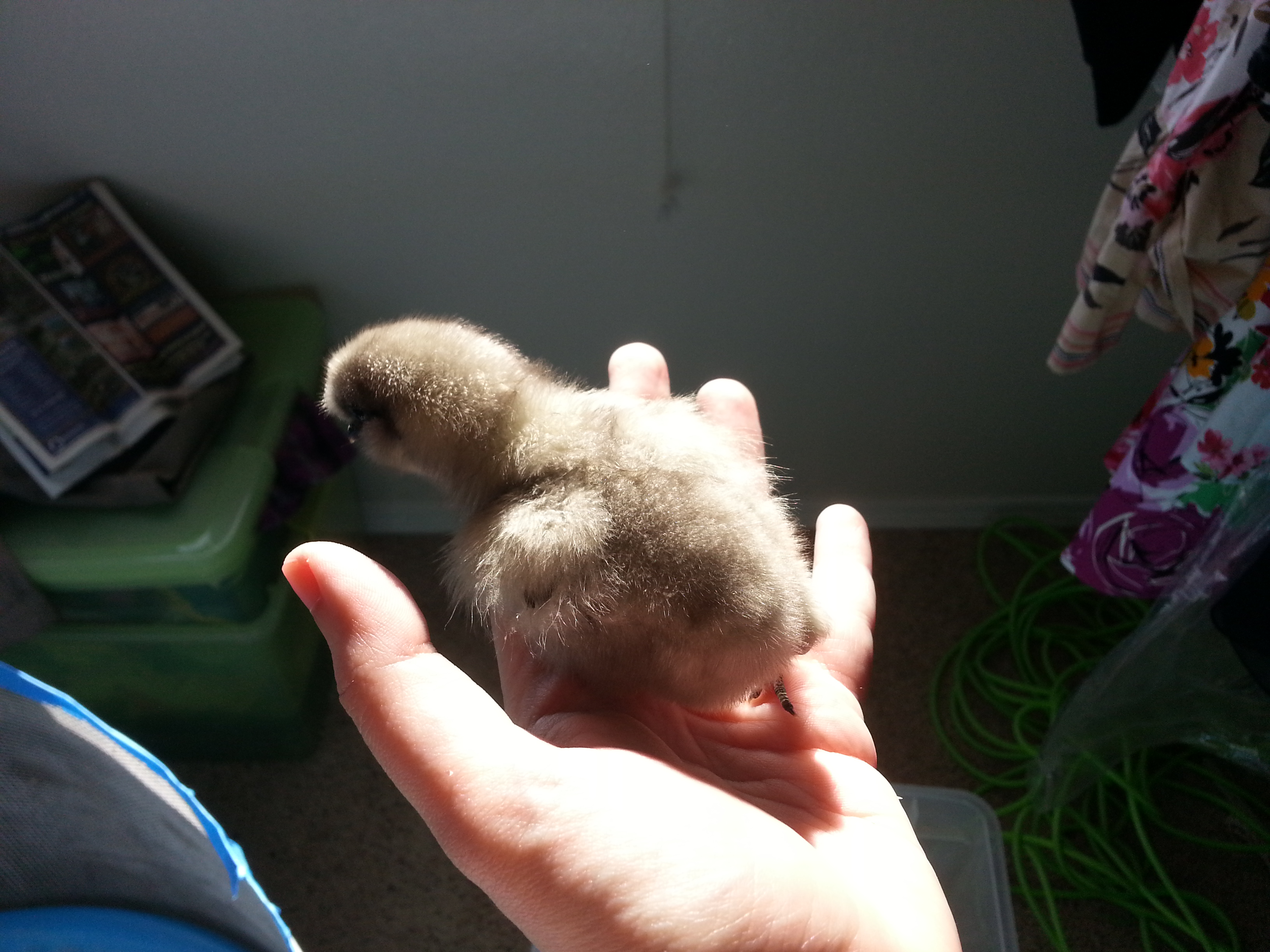 Lightest little baby.