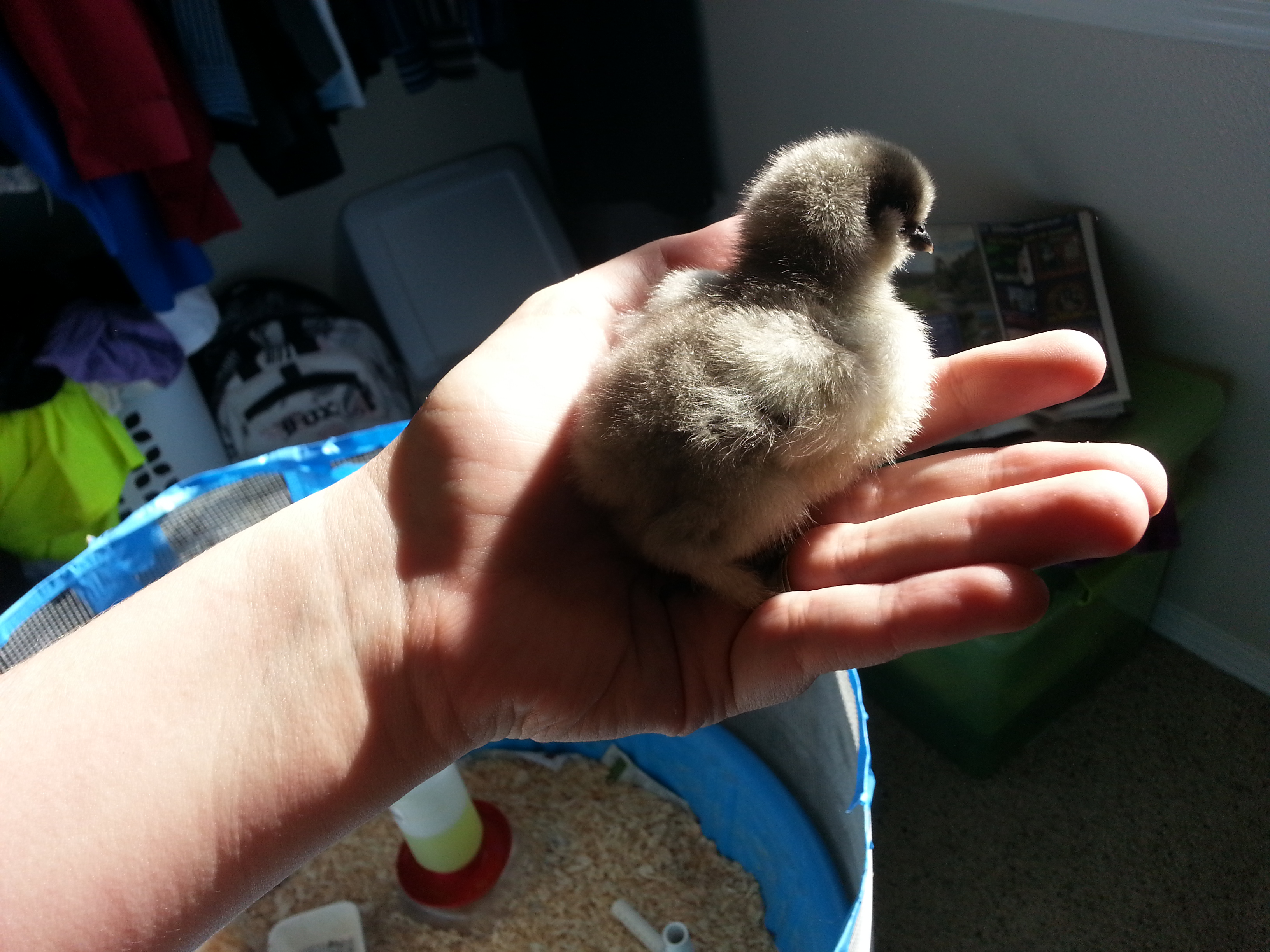 Lightest little baby.