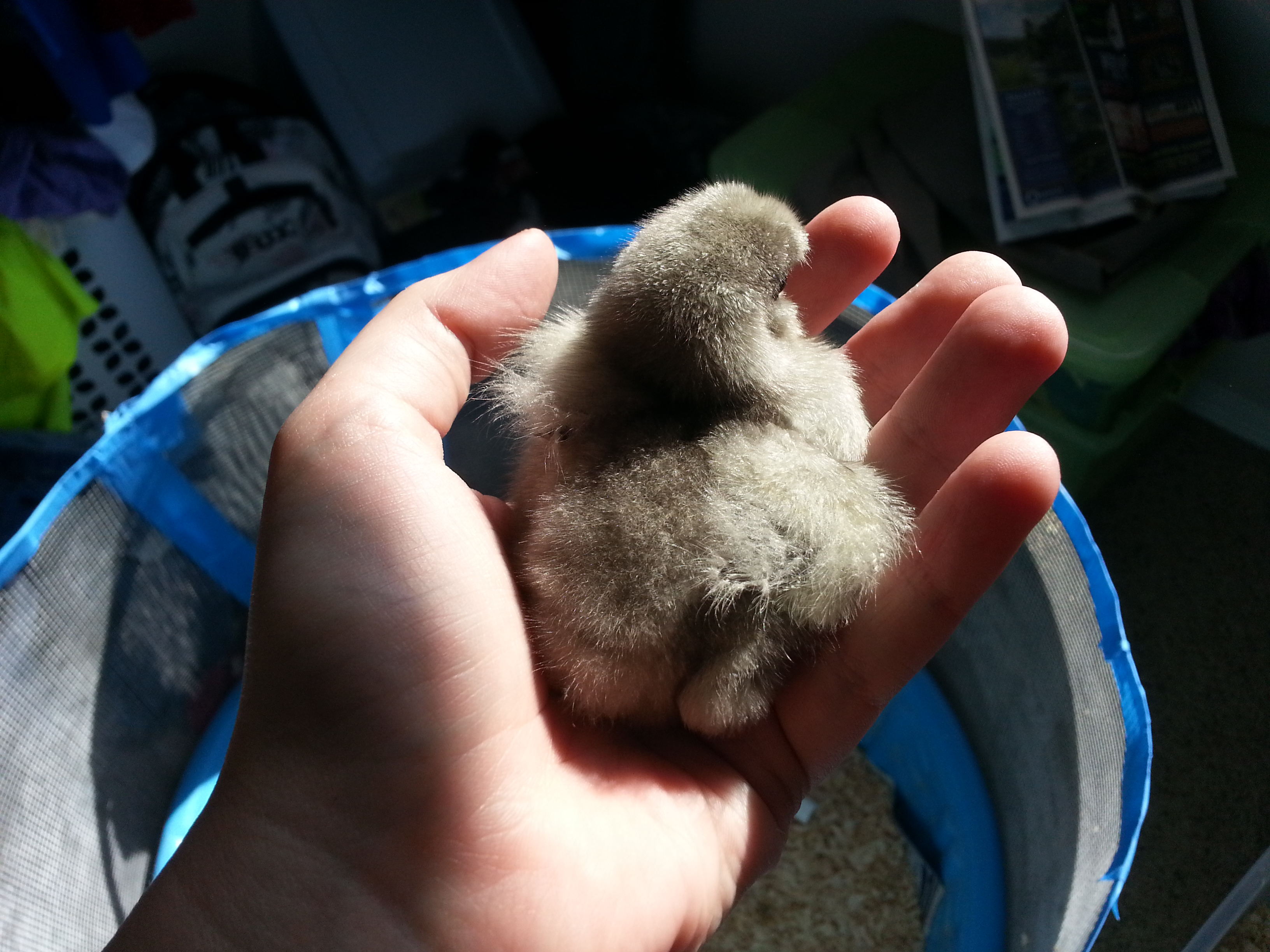 Lightest little baby.