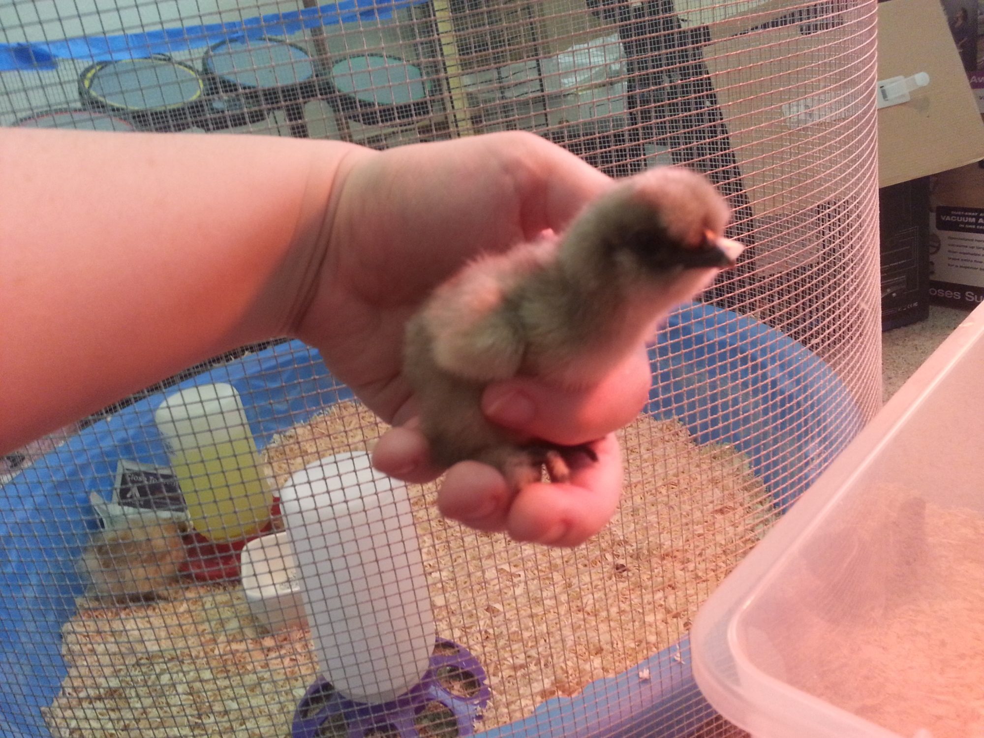 Lightest little baby.