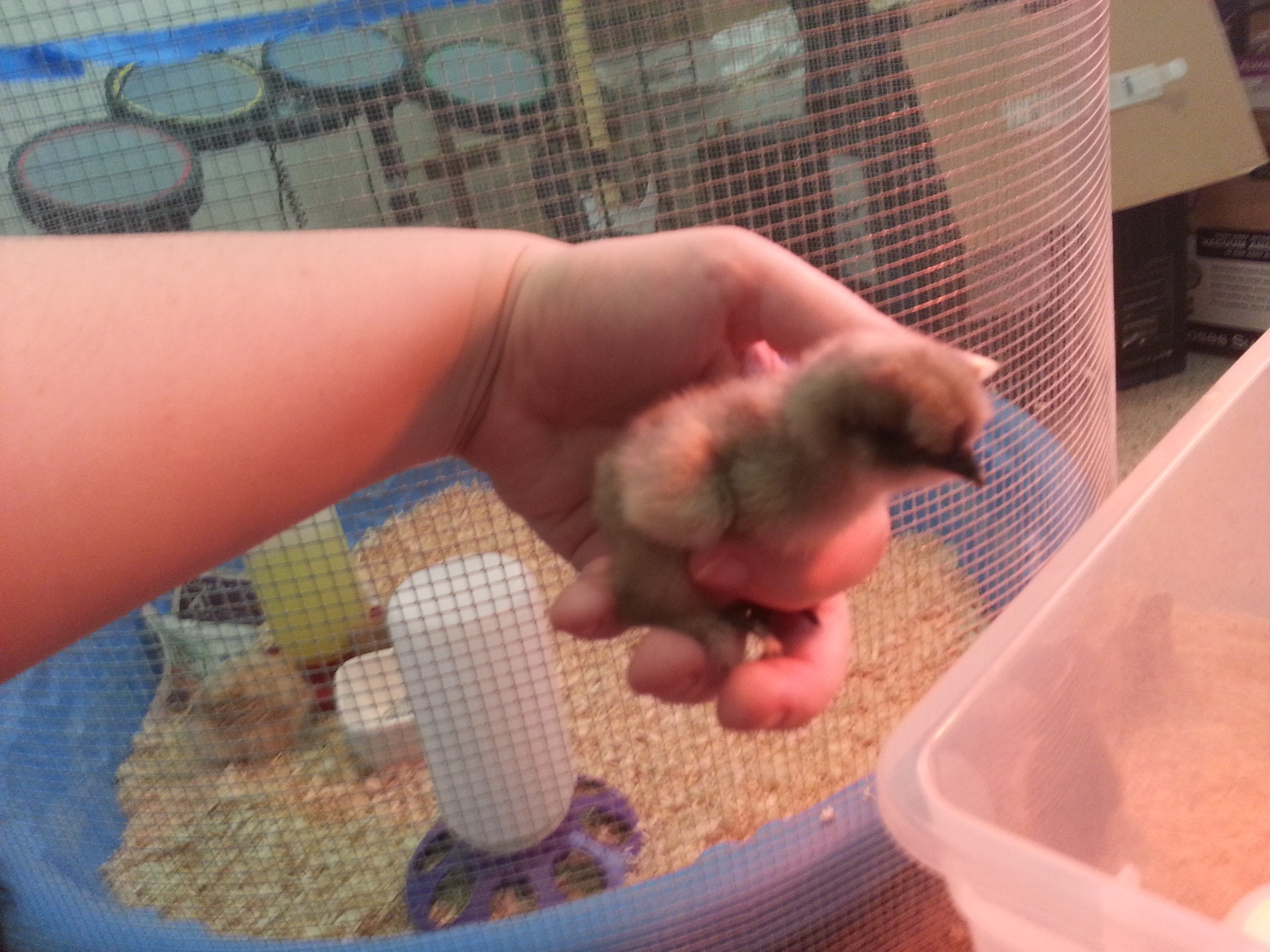 Lightest little baby.