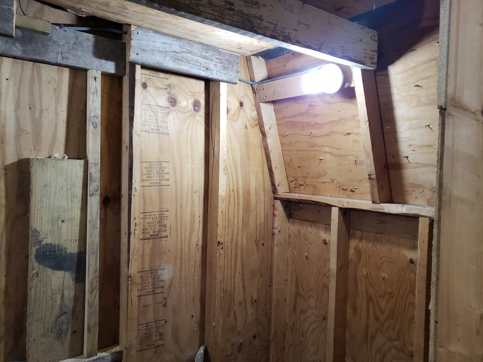lights in 2 - shed coop build