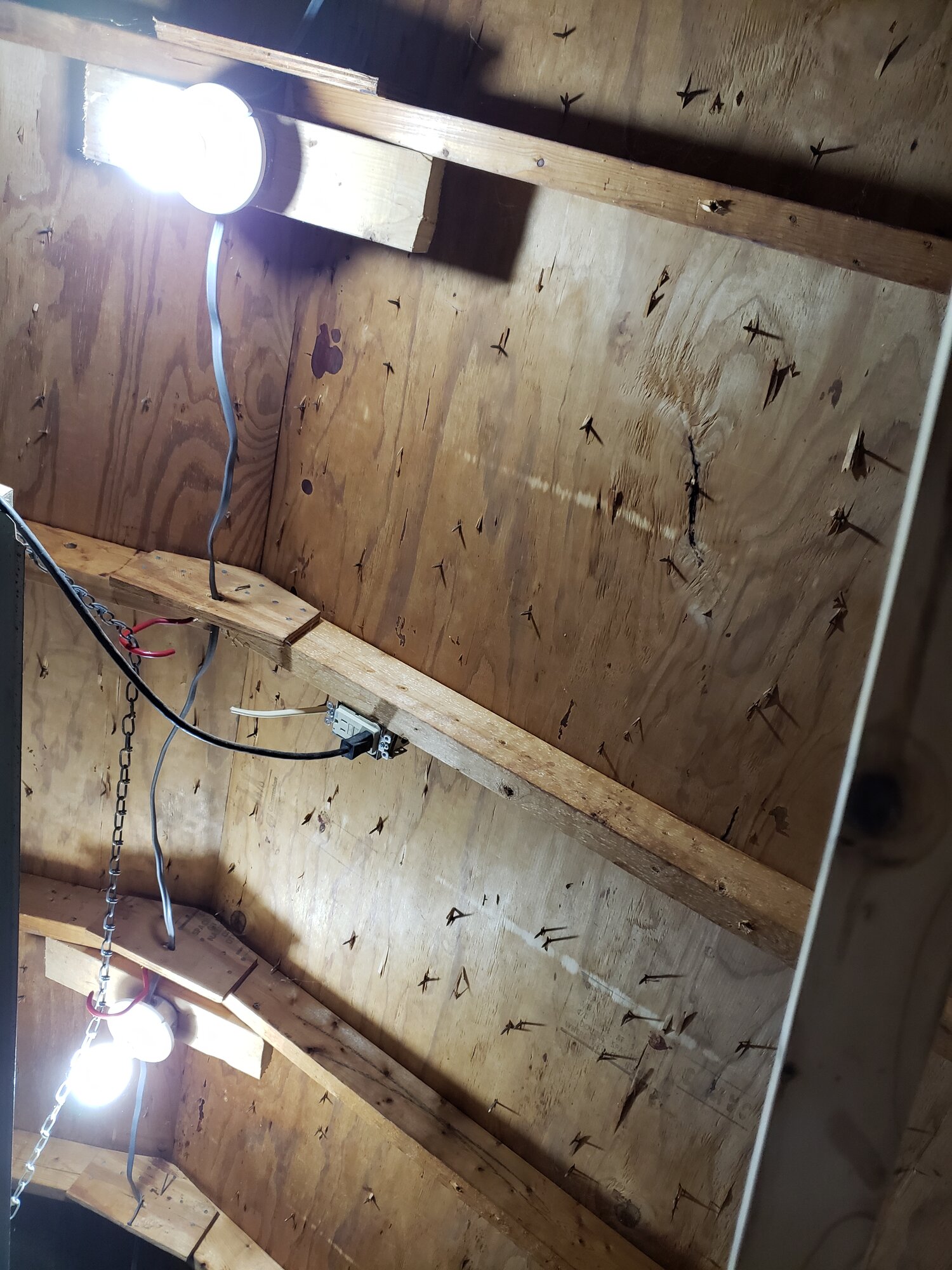lights in ceiling - shed coop build