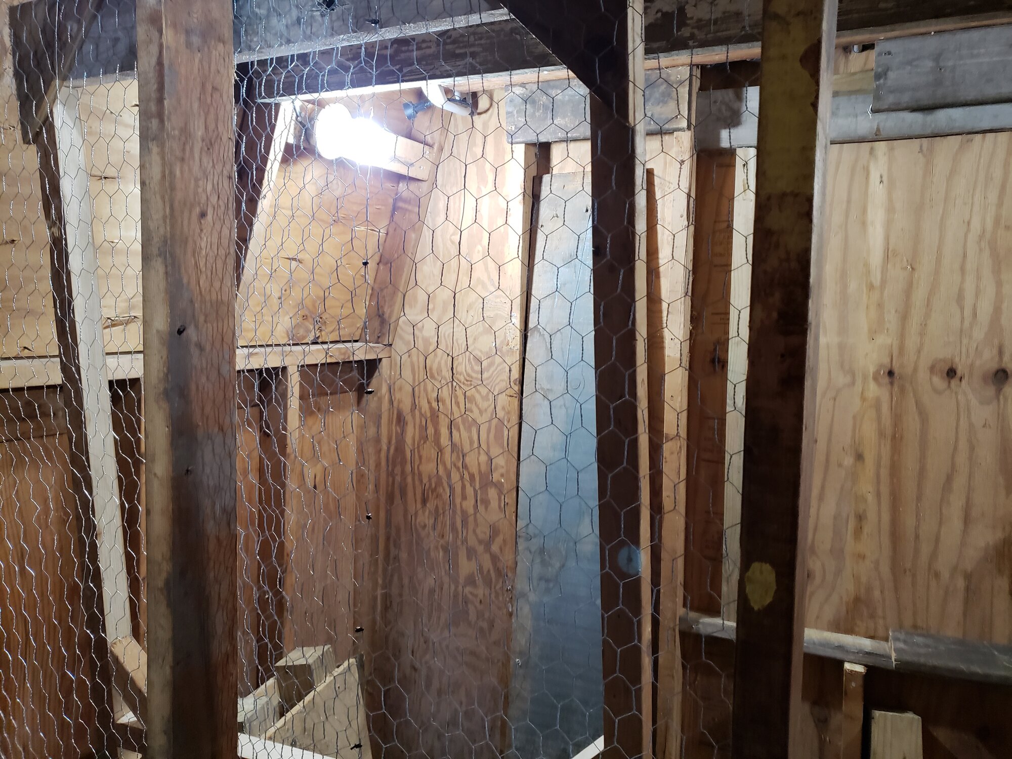 lights in - shed coop build