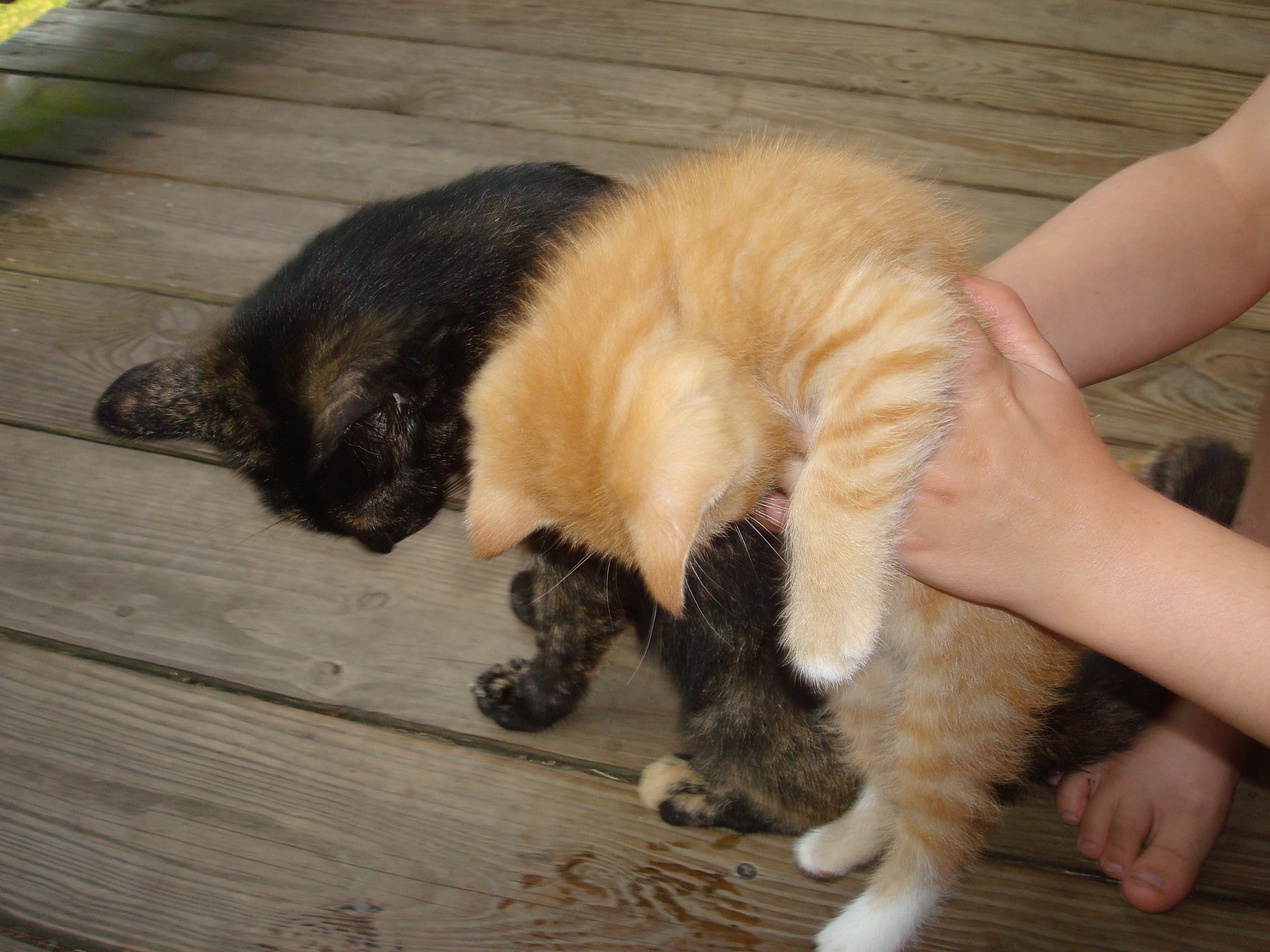 Lil Mo and mom, Cleo