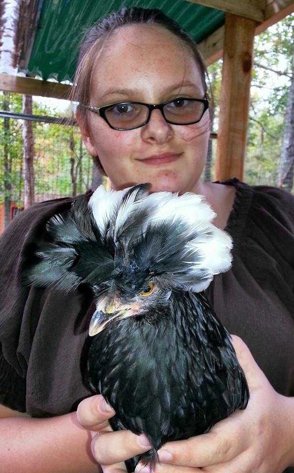 *
Lilli with one of her cresteds.