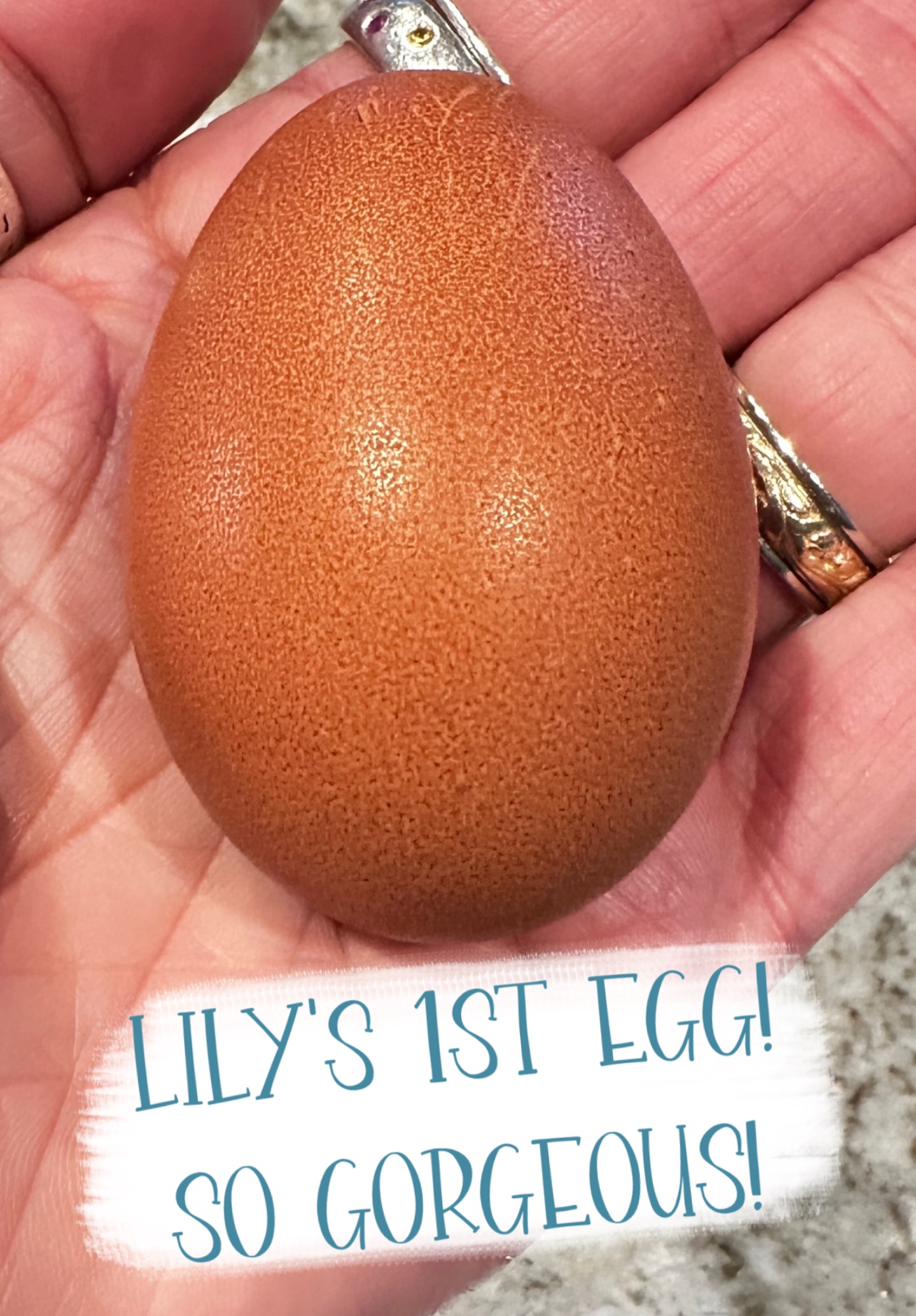 Lily’s First Egg -  12/2/2025