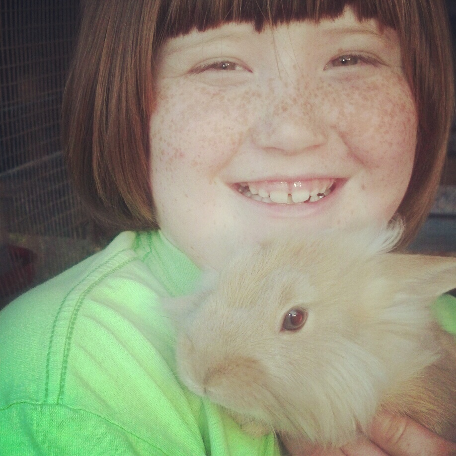 Lionhead mix bunnies.