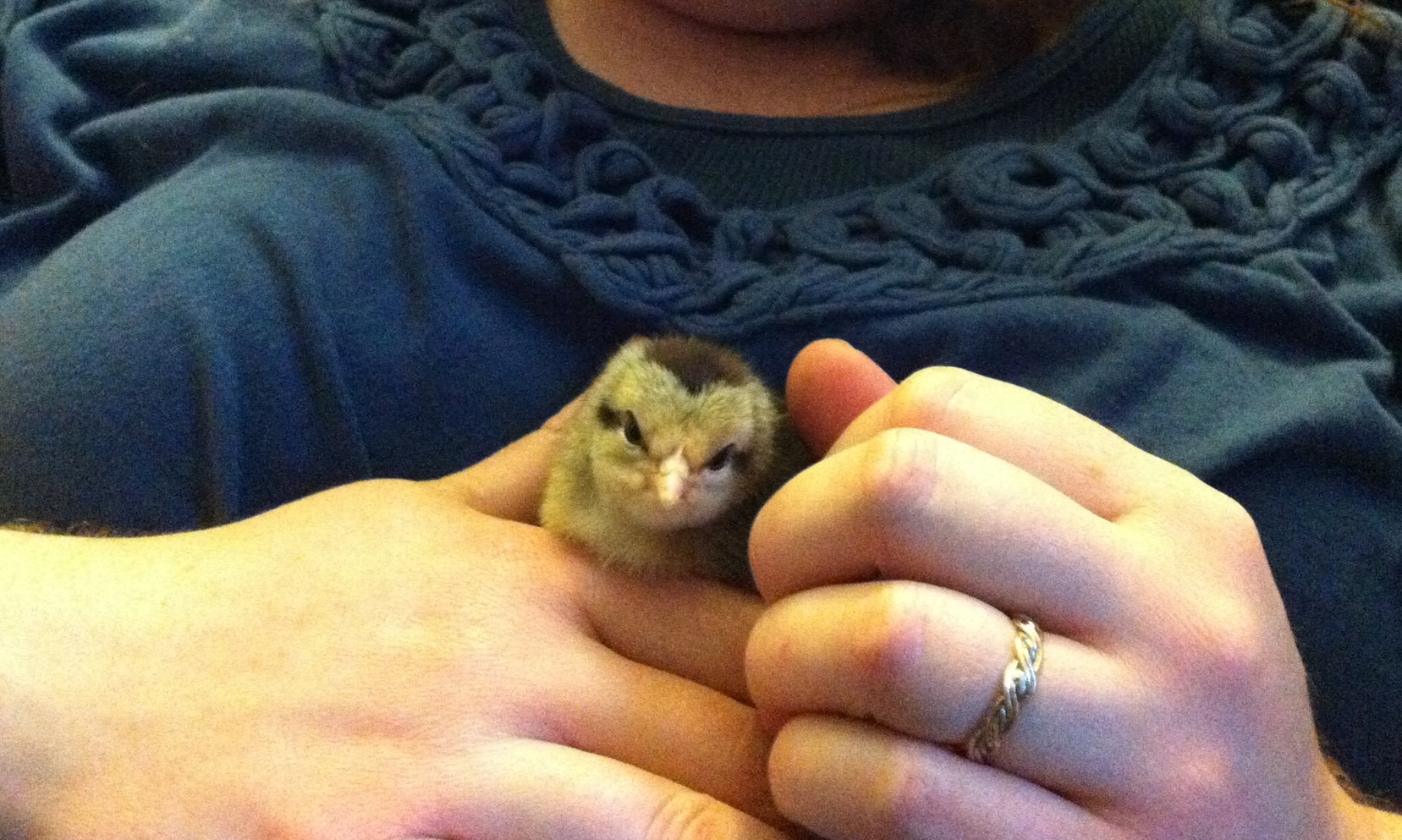 Little Dorking needed a little extra love