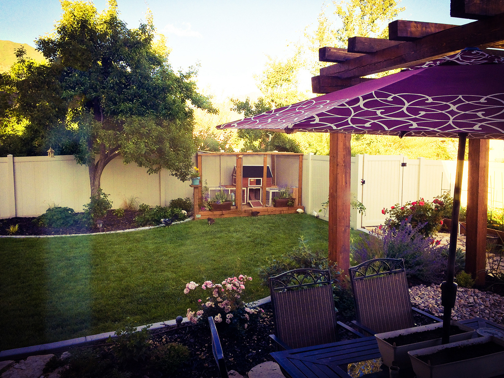 location in yard