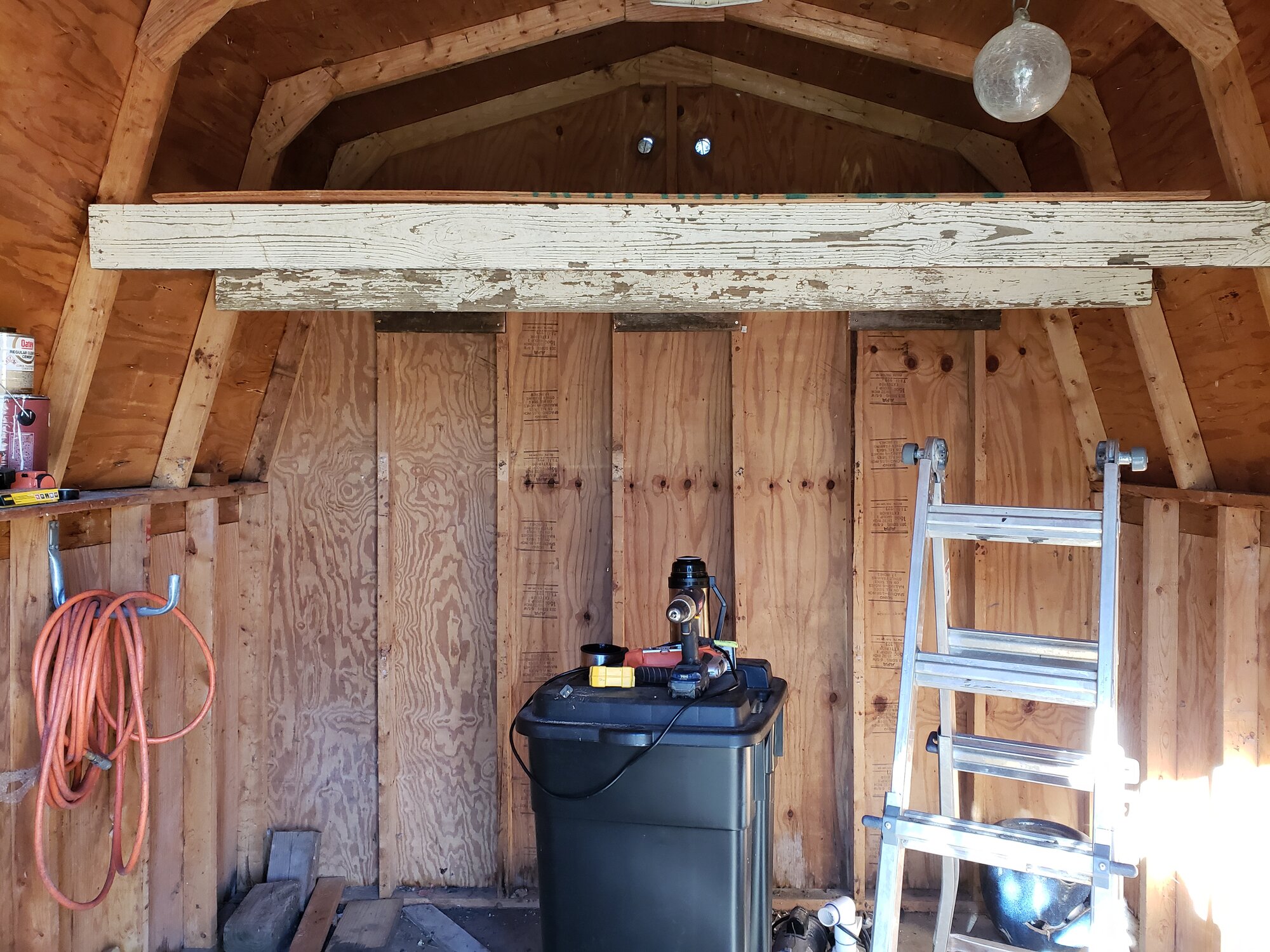 loft - shed coop build