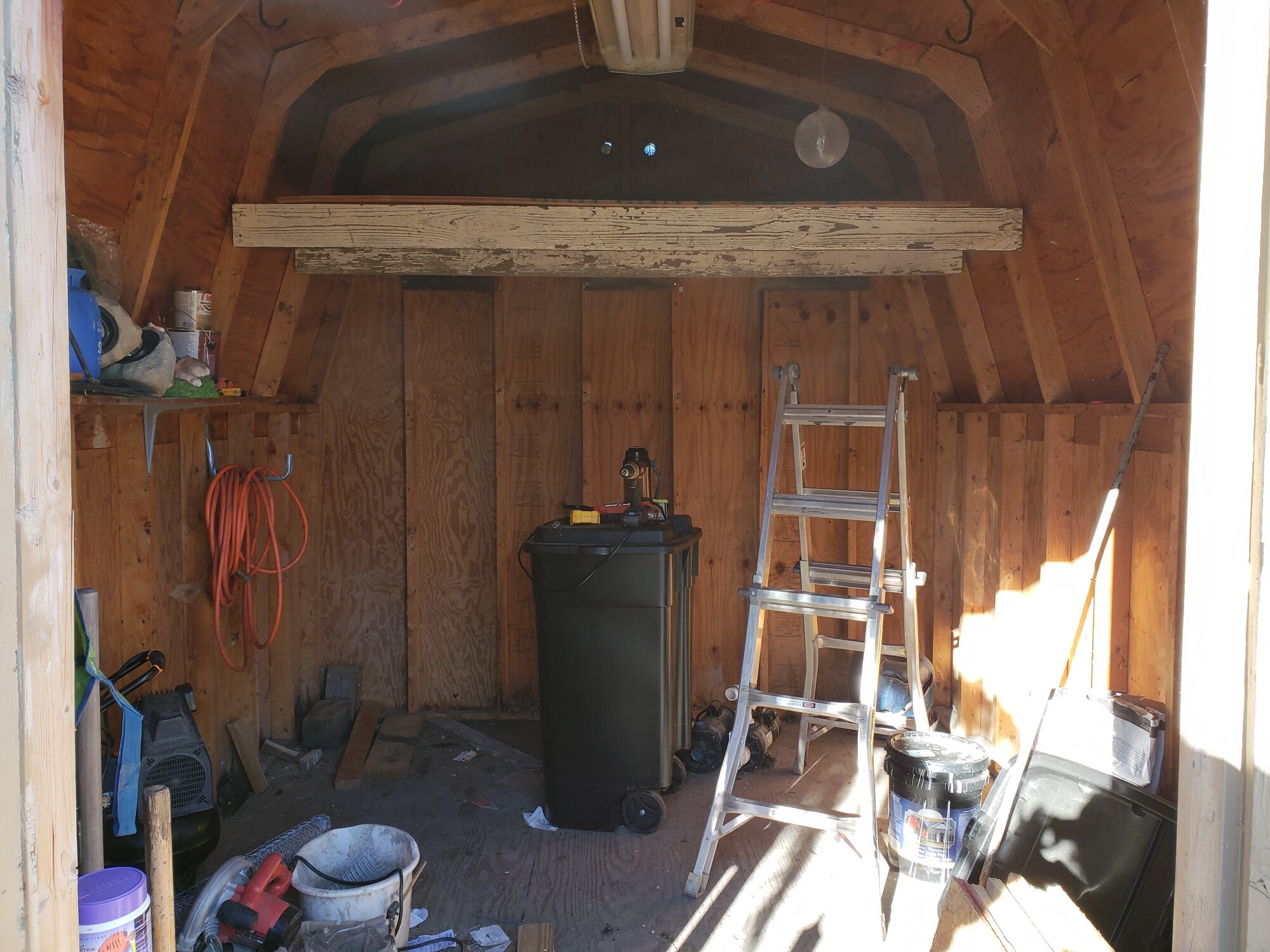 Lofted added - shed coop build