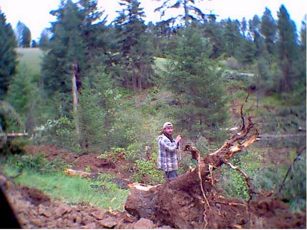 Logging