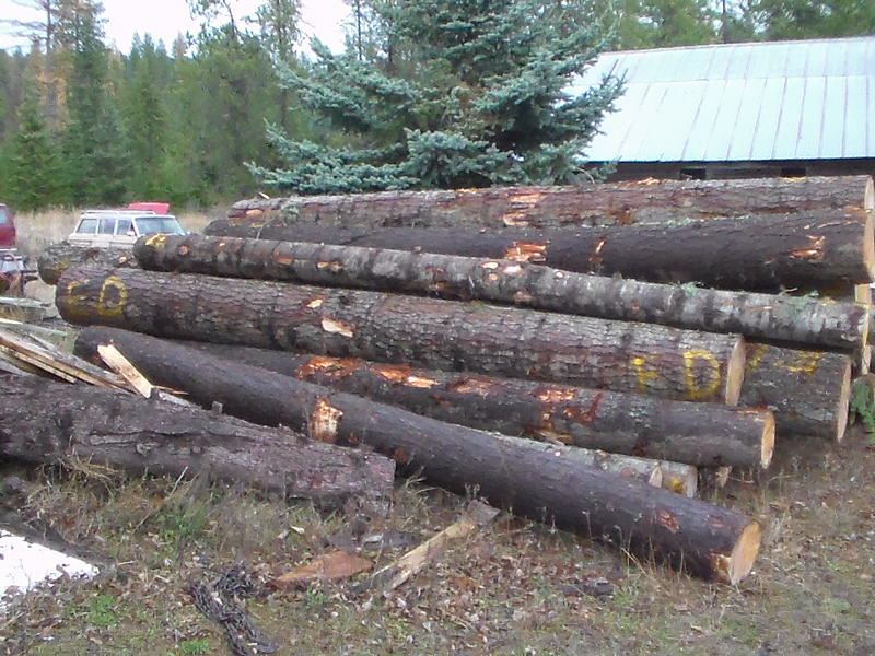 Logs